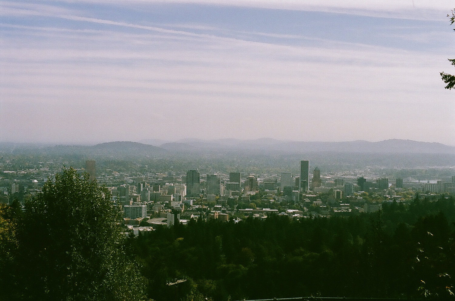 06500024.jpg