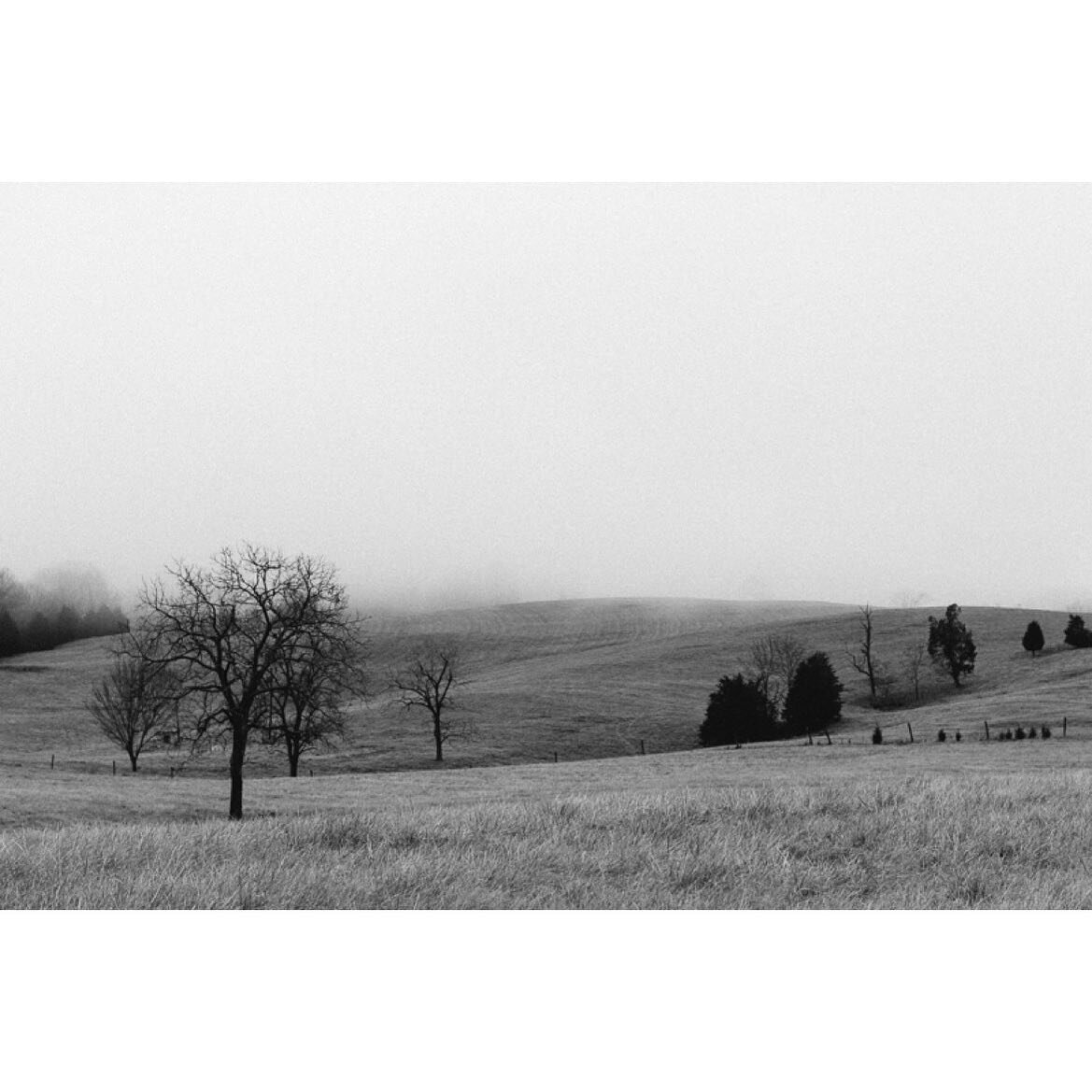 Morning Fog.

#blackandwhitephotography #landscape #landscapephotography #fog #trees #nature