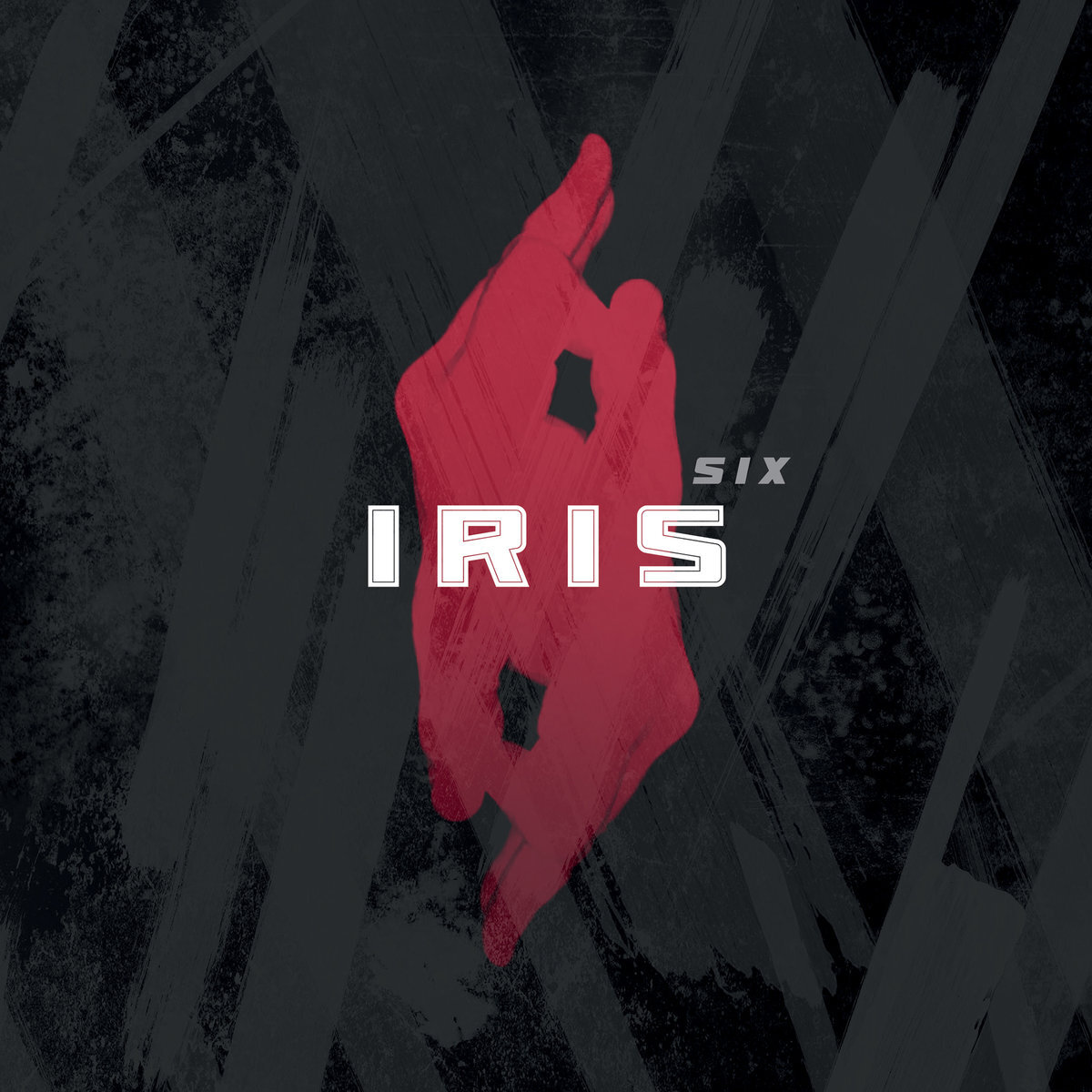 Iris - six.jpg