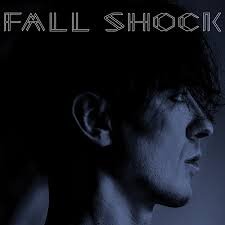 fall shock.jpg