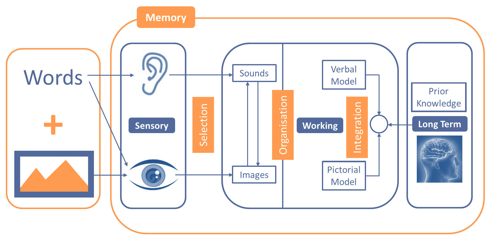 sales-presentations-how-the-memory-works.png