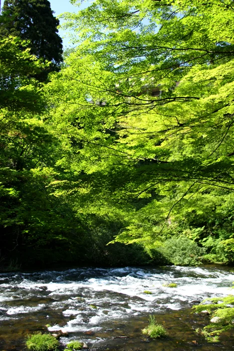 River runs through Yamanaka Onsen.