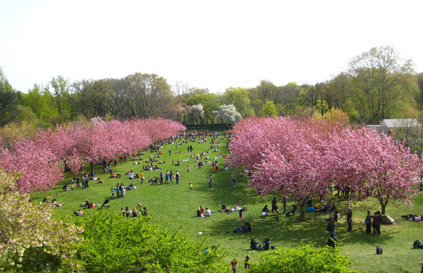 Brooklyn Botanic Garden