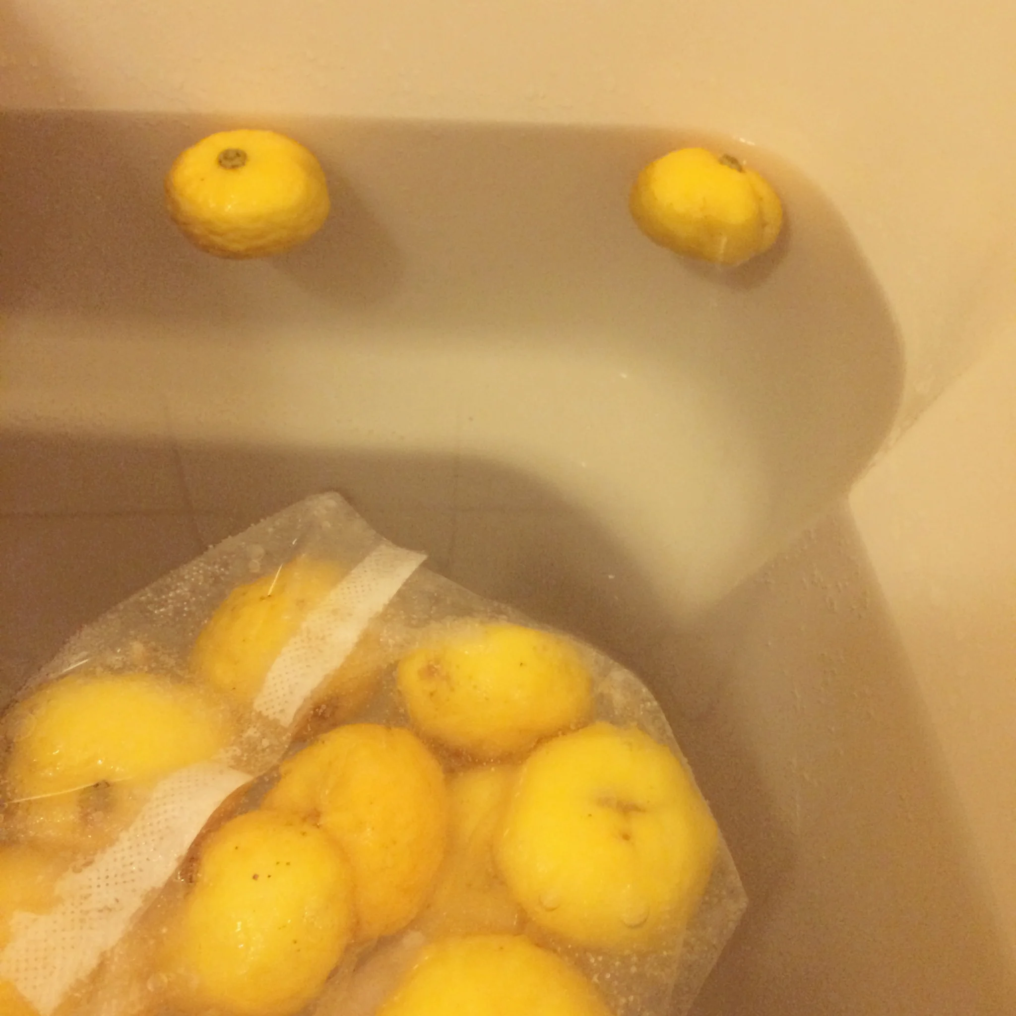 JapanSuite_blog_Tohji1