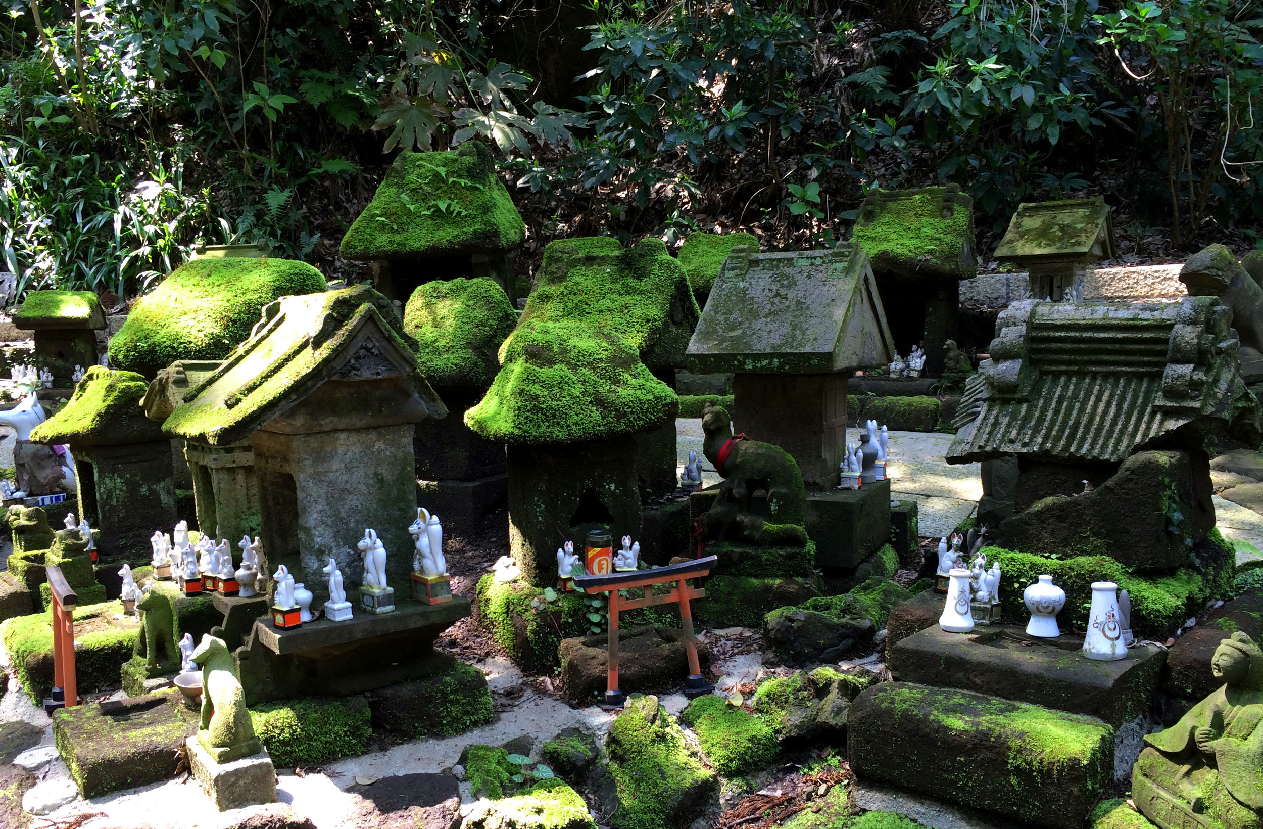 Sasuke Inari in Kamakura, Kanagawa pref.