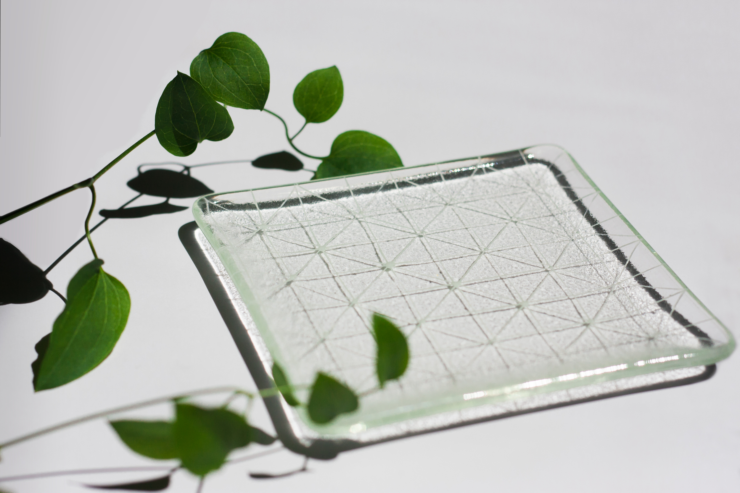 Small Asanoha Square Plate by Saburo