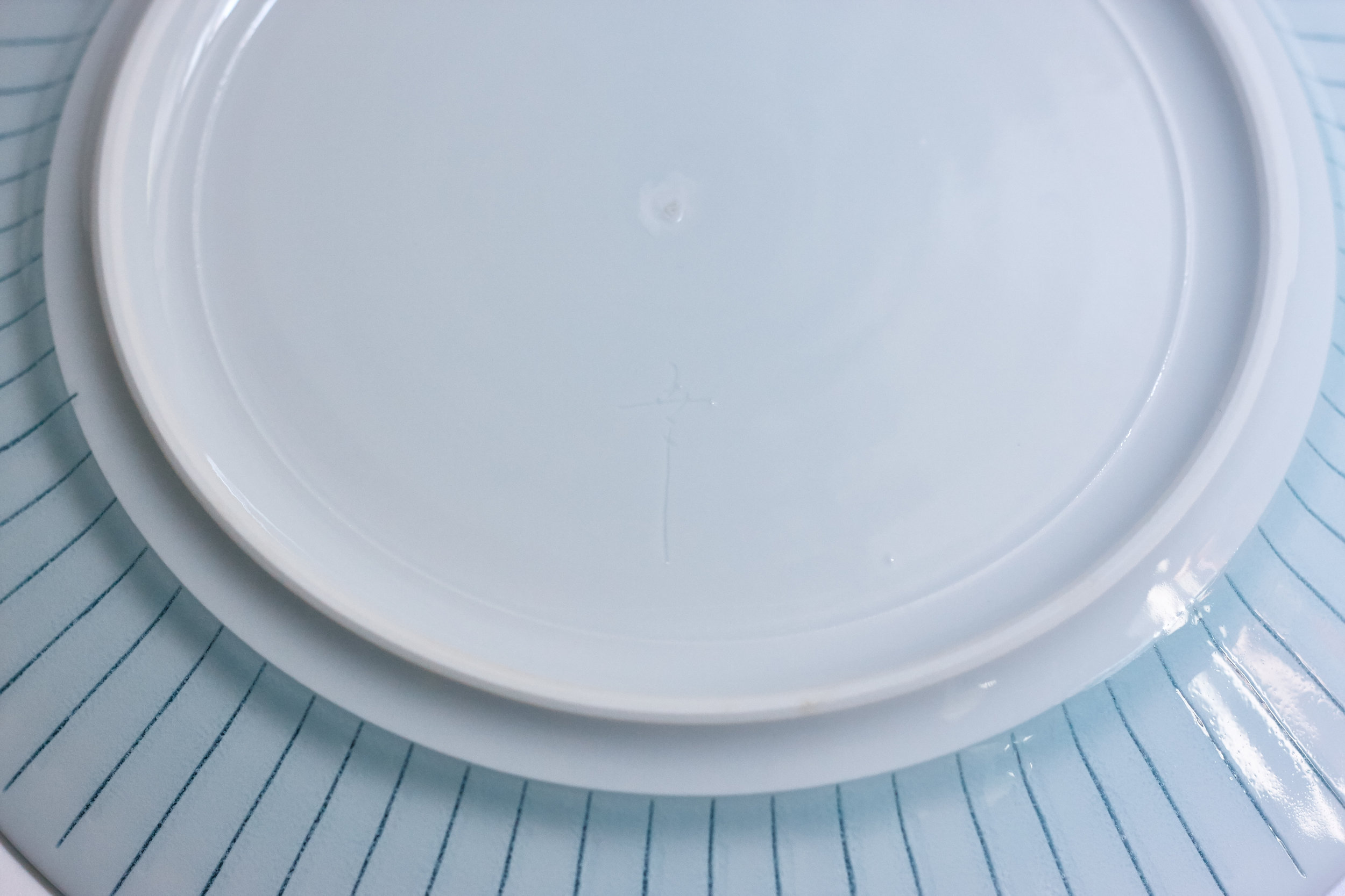 Flower of the Water Medium Plate by Kotaro Ikura