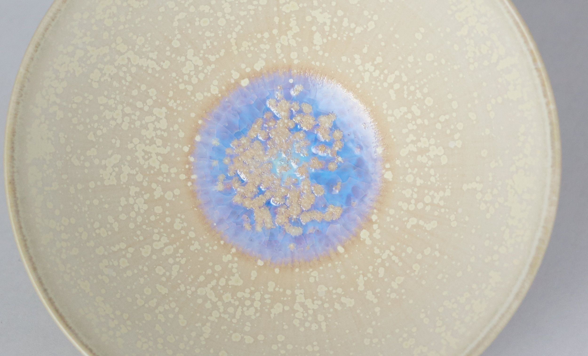 Niimi_CloseUp_4.jpg