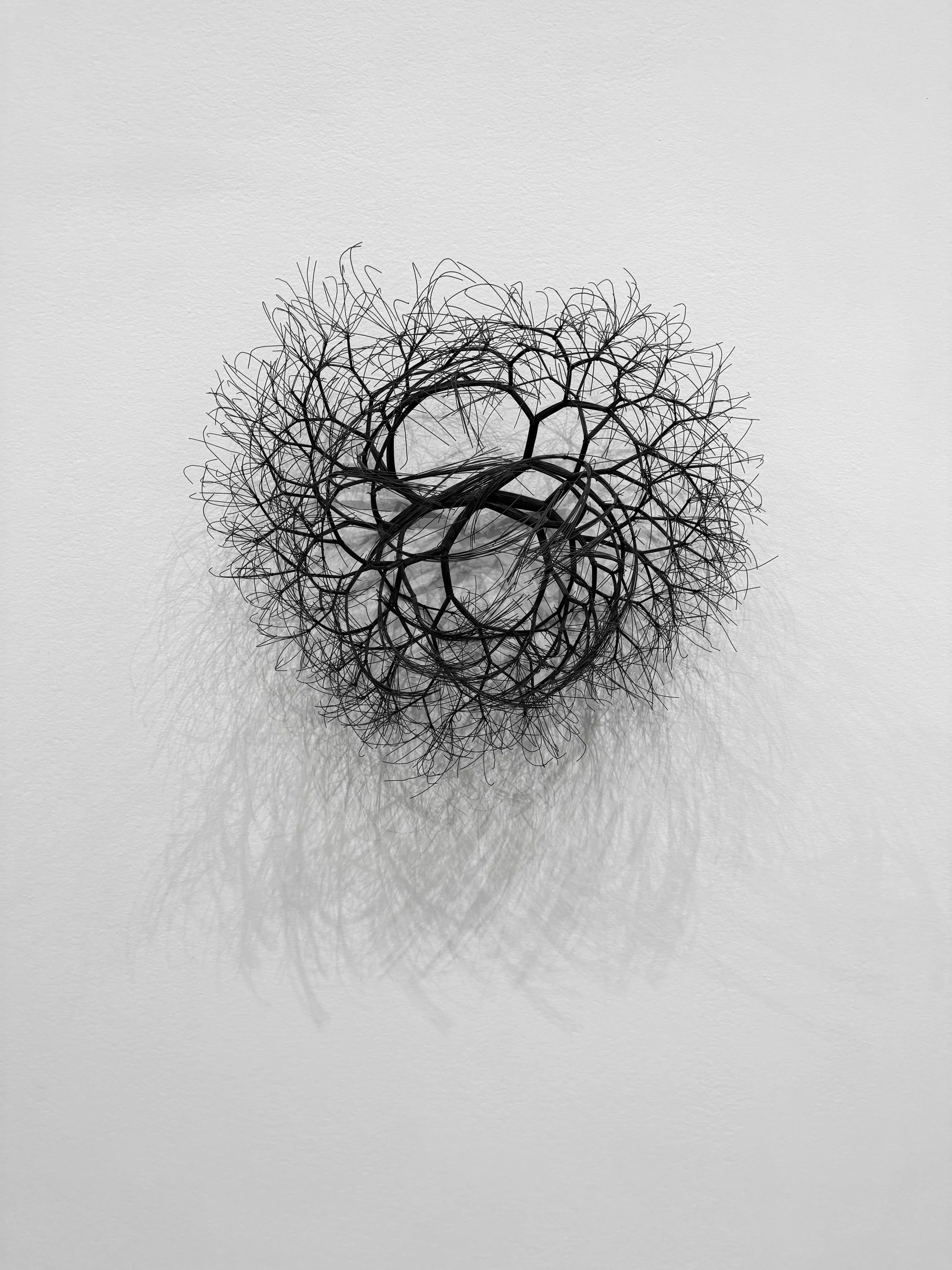 Ruth Asawa at MoMA: Learning to See Through Making