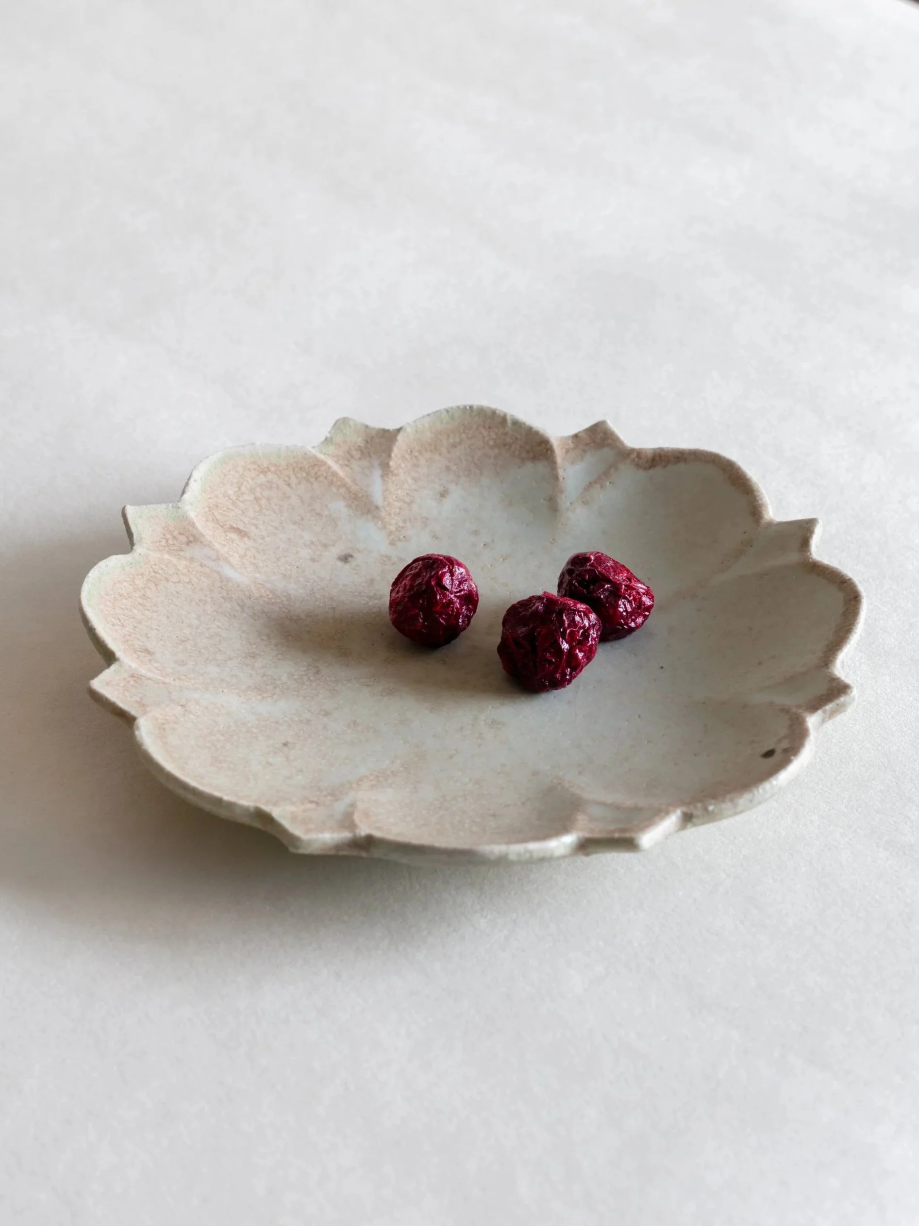 Kodo Kiyooka
 

 Rinka Kaihaku Flower Plate 