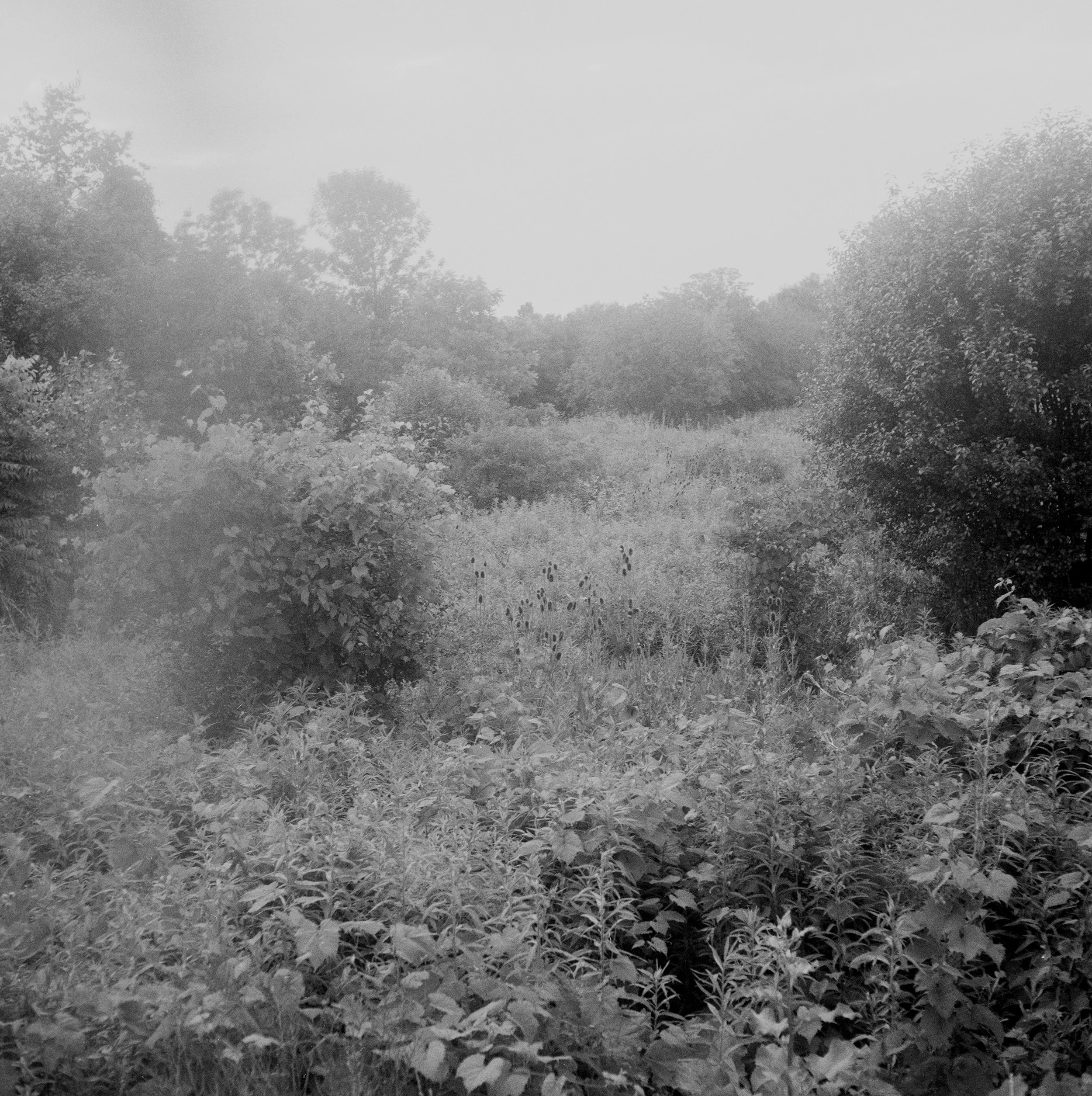  Auburn, NY  2014 
