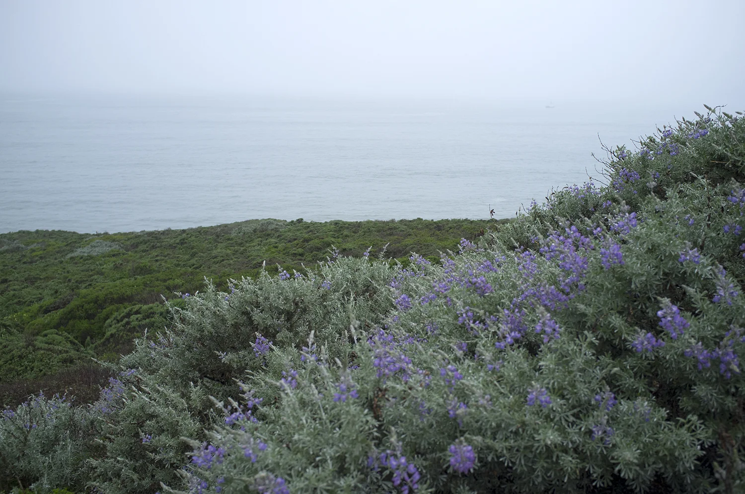 DSCF6181.jpg