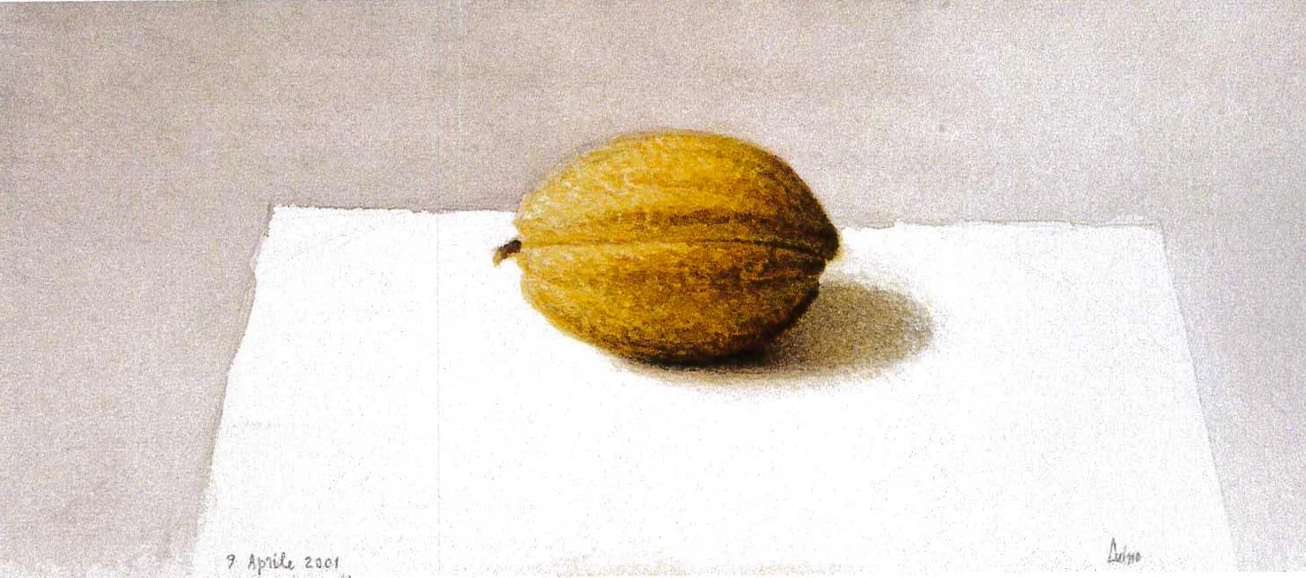  &nbsp; Cacao n. 1 , 2001 
 Acquerello su carta 
 14 x 32 cm   &nbsp;  