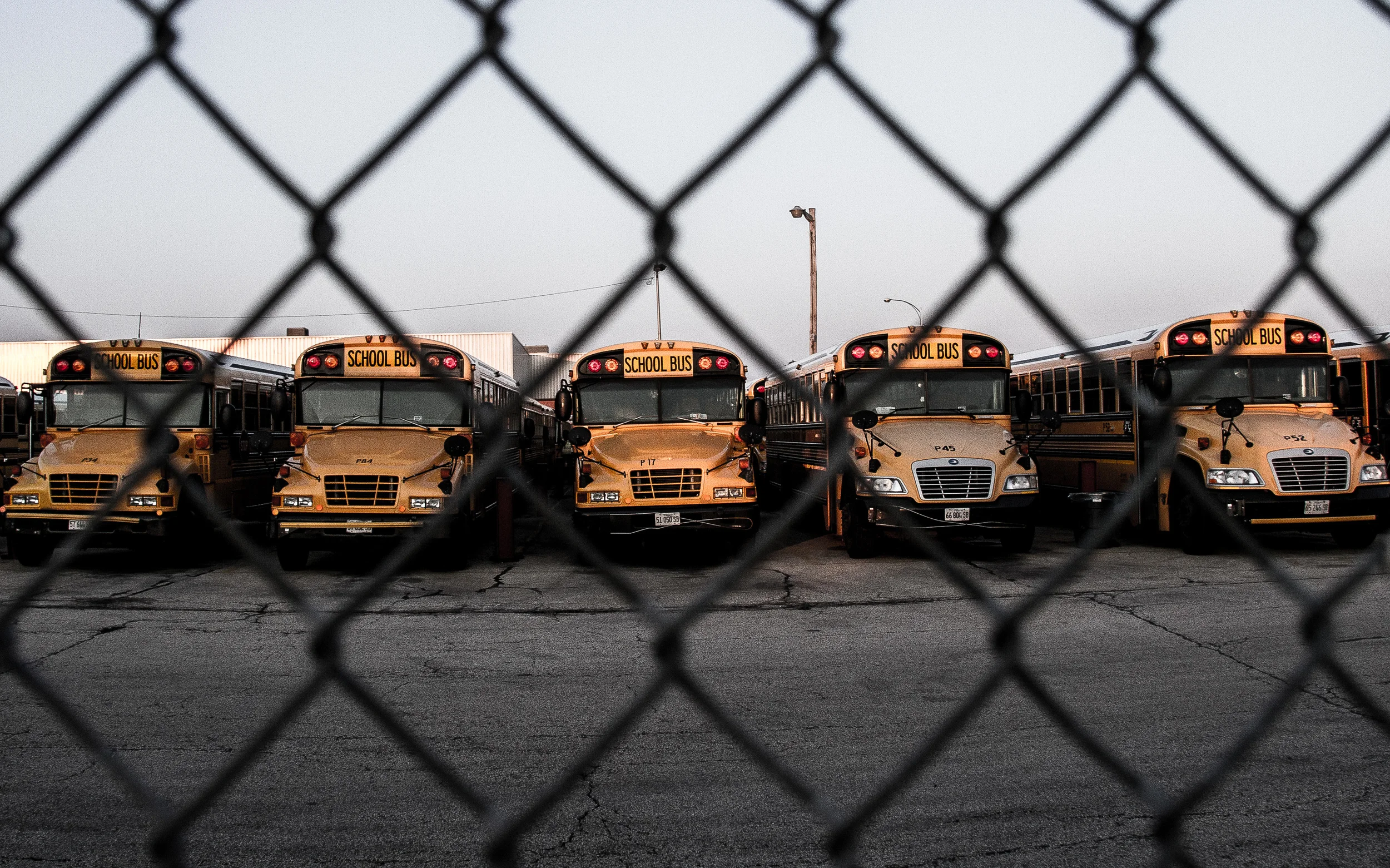 school buses.jpg