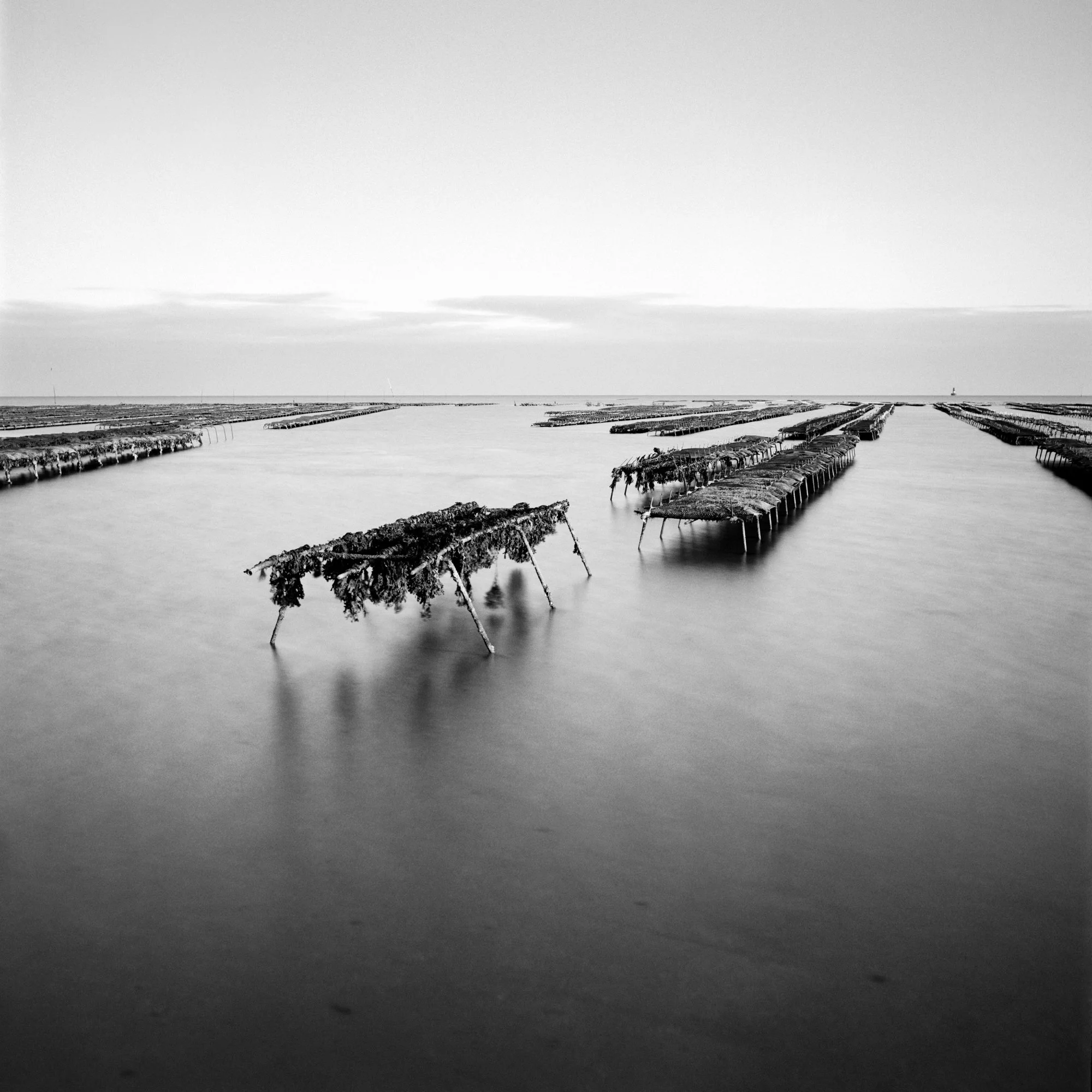 F26-07 Ile de Re.jpg