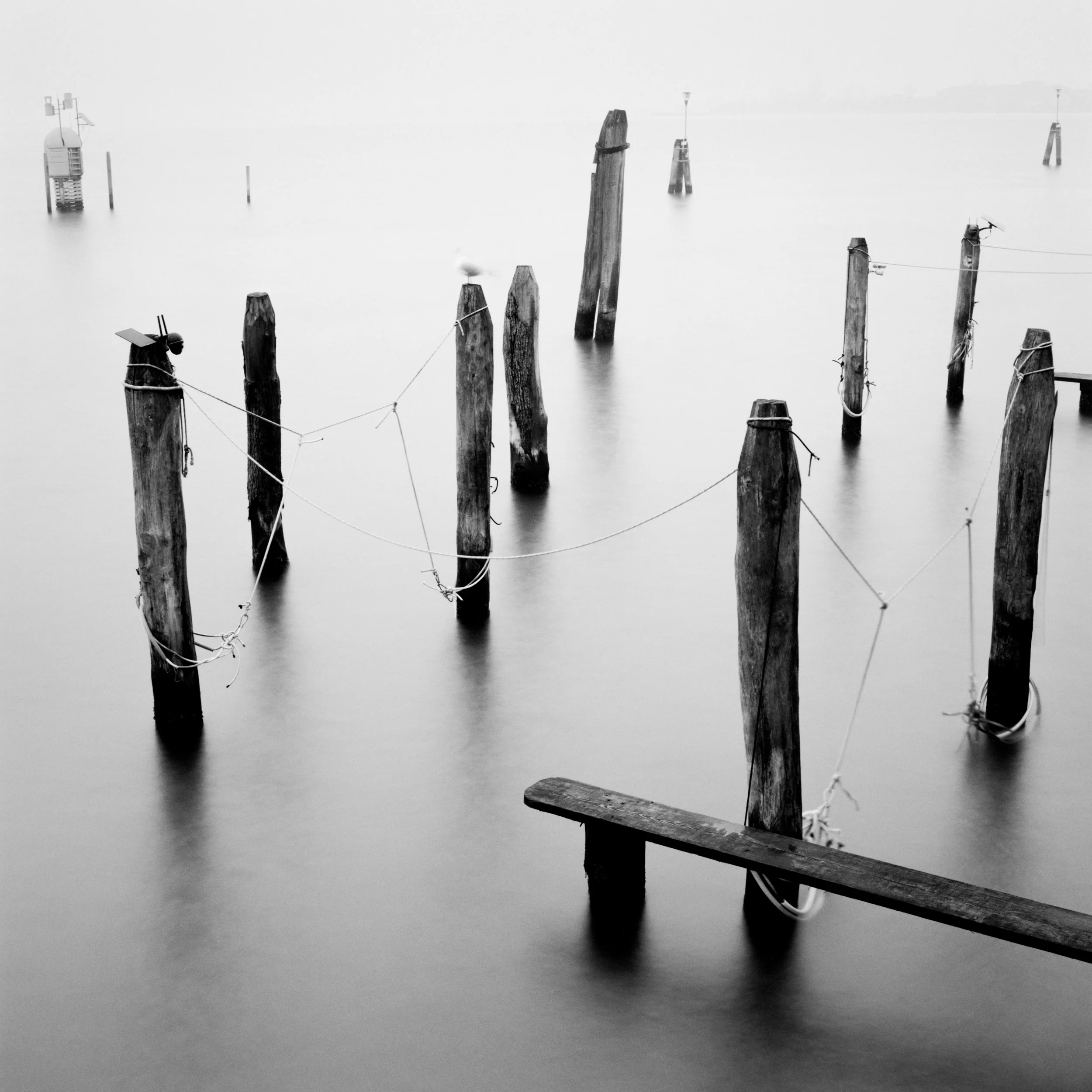 V21-01-sepia.jpg