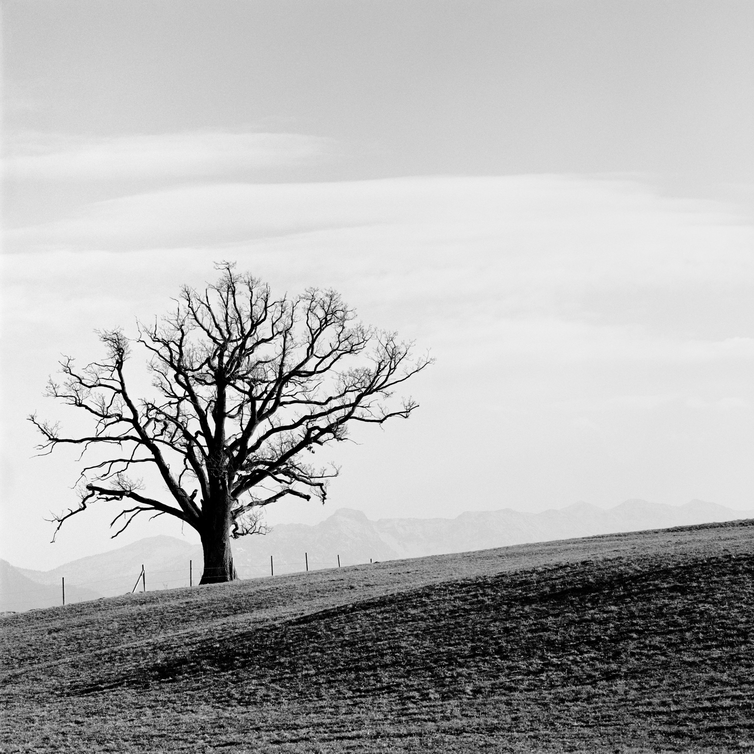 B04-05 Staffelsee.jpg