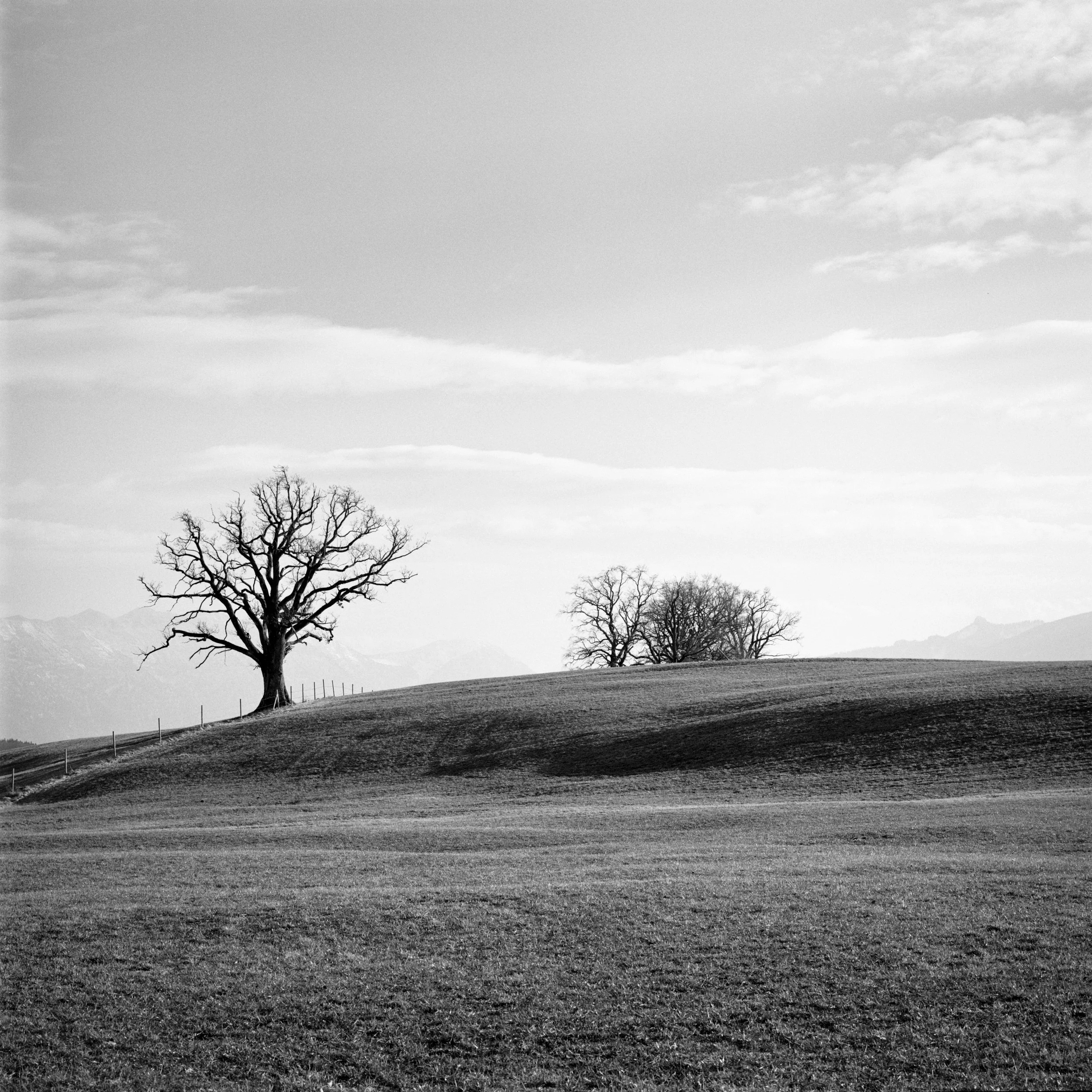 B04-12 Staffelsee.jpg