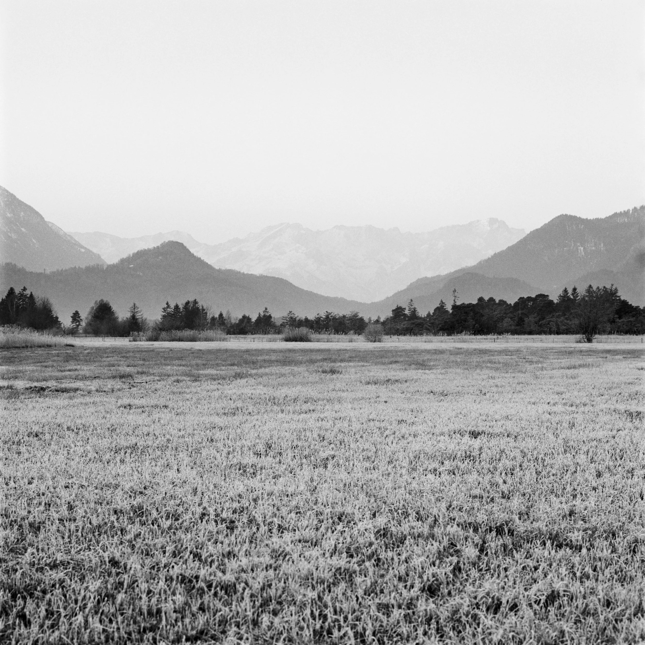 B06-11 Murnauer Moos.jpg