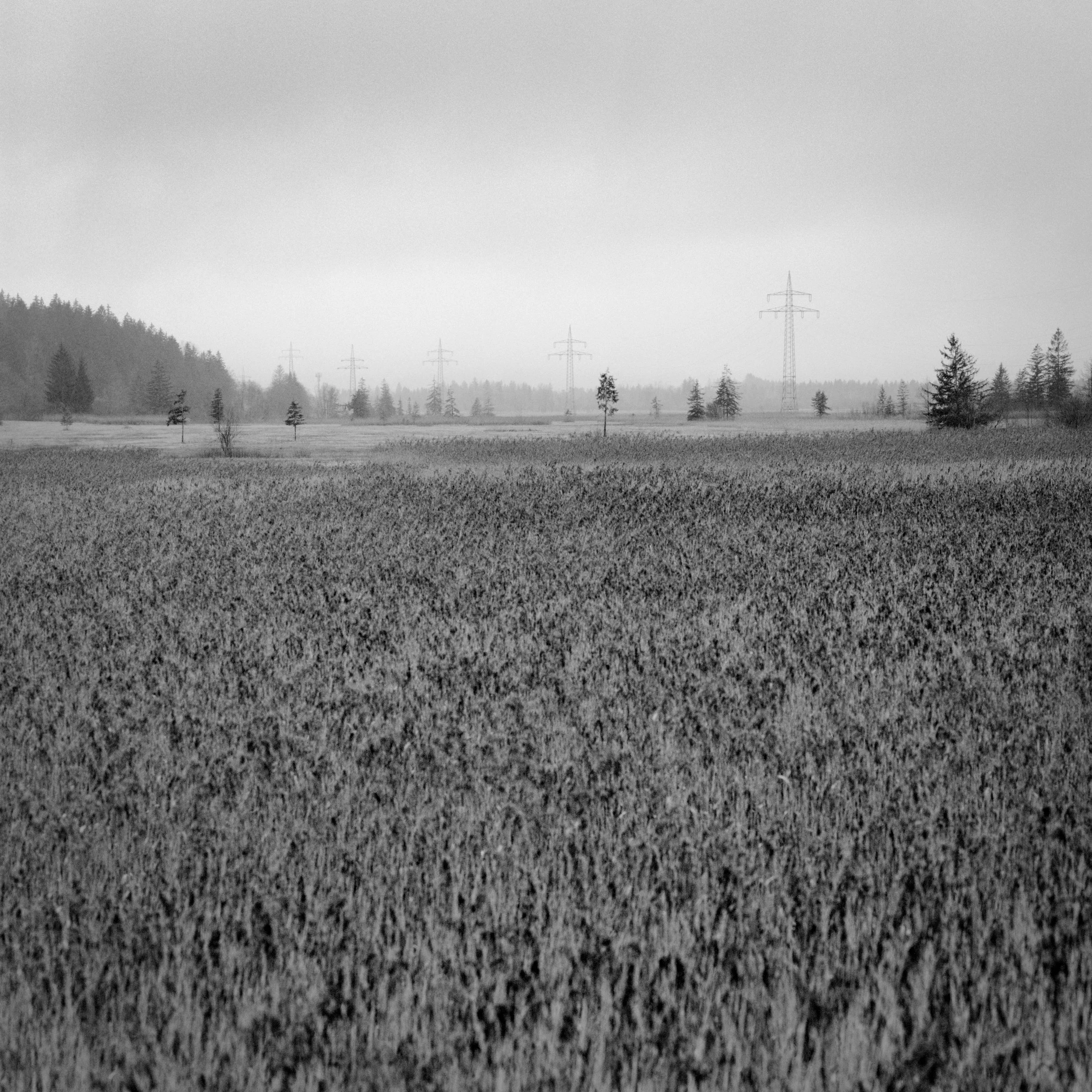 B21-04.jpg