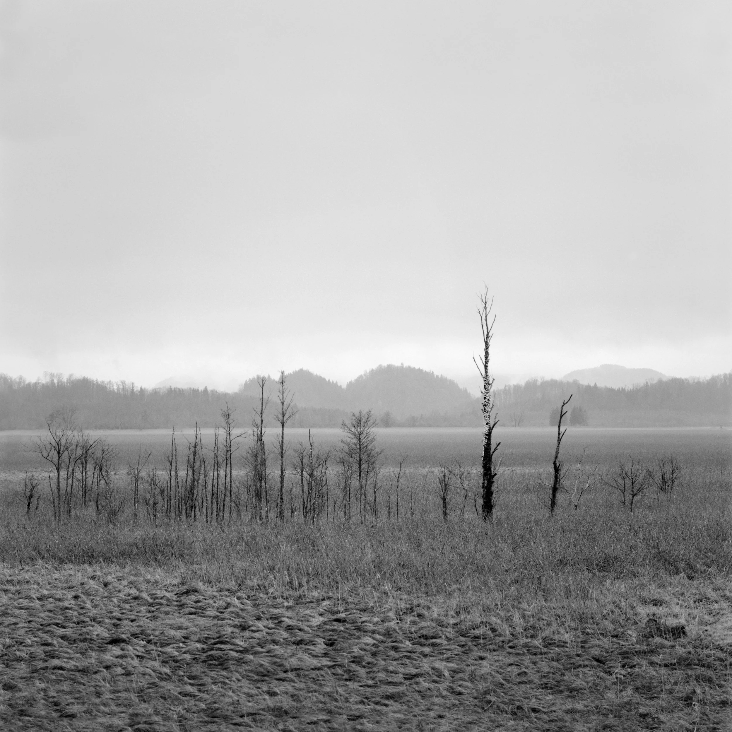 B21-10.jpg