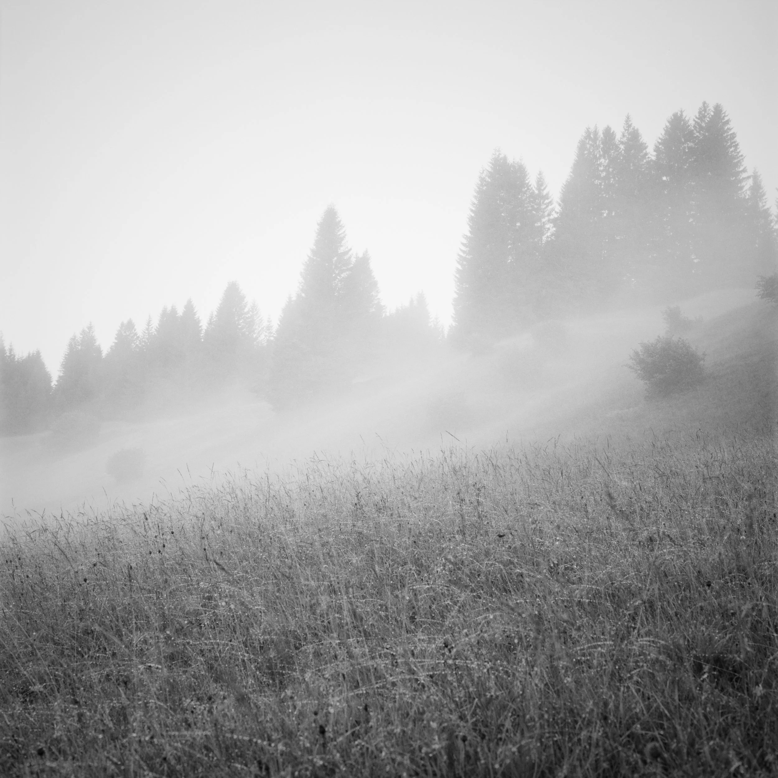 B31-04.jpg