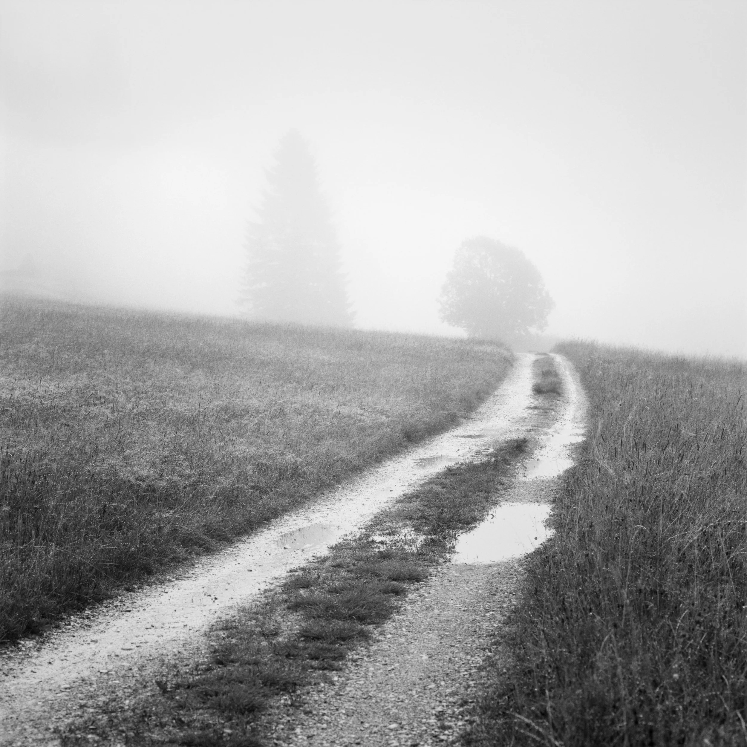 B31-11.jpg
