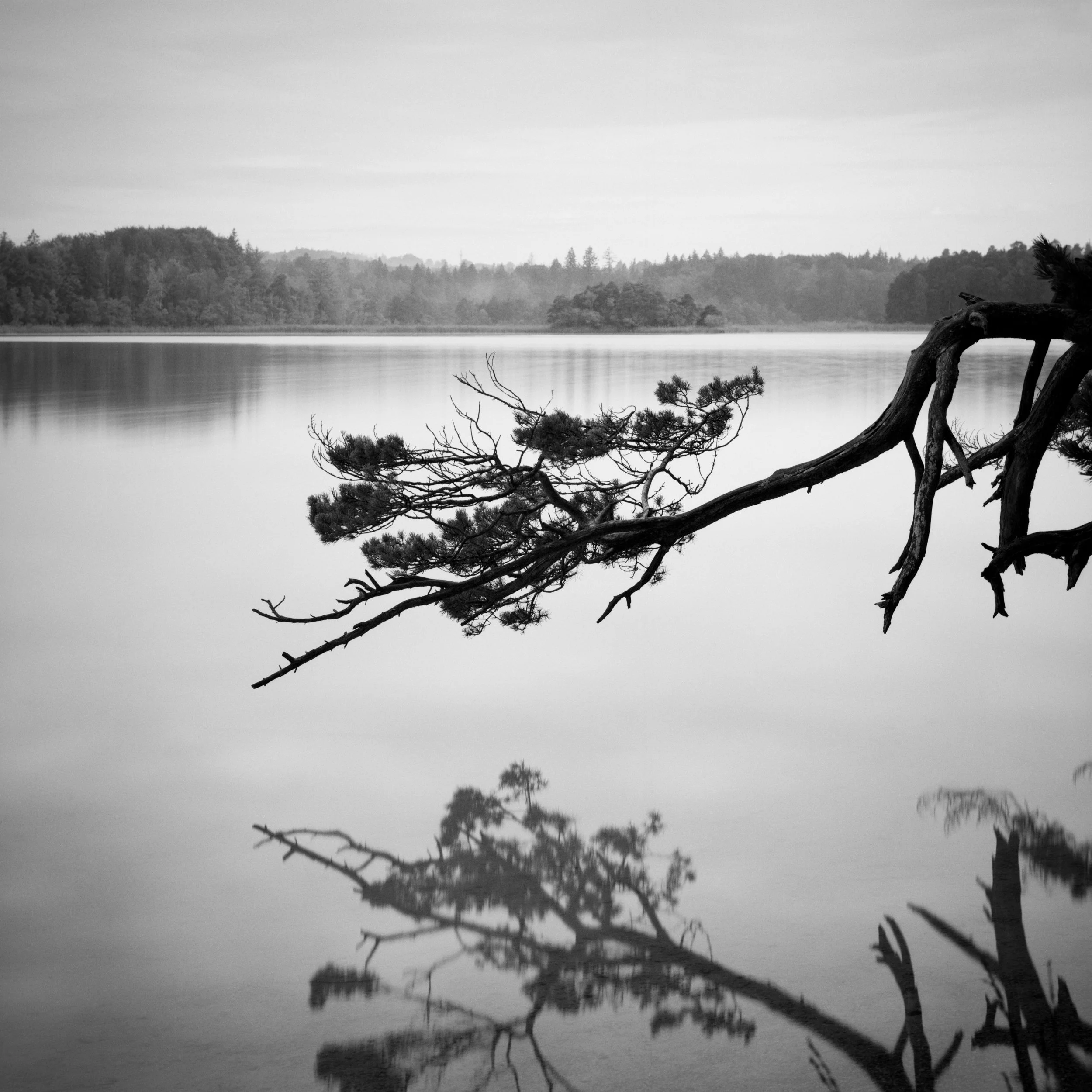 B37-10.jpg