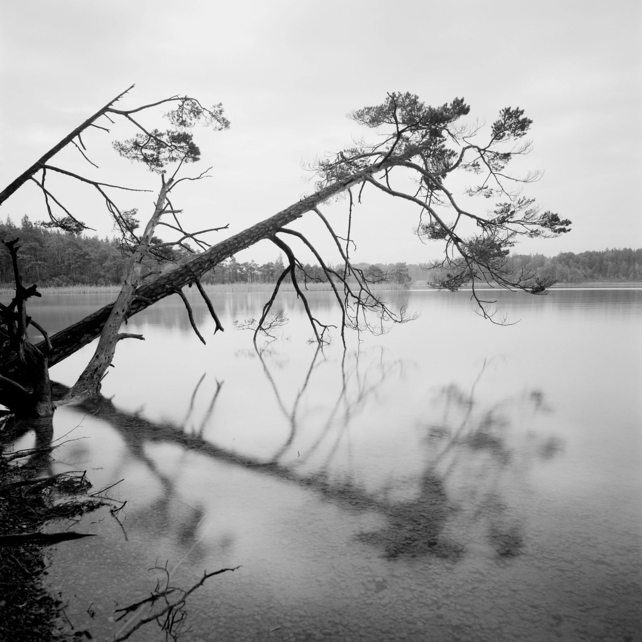B38-04.jpg