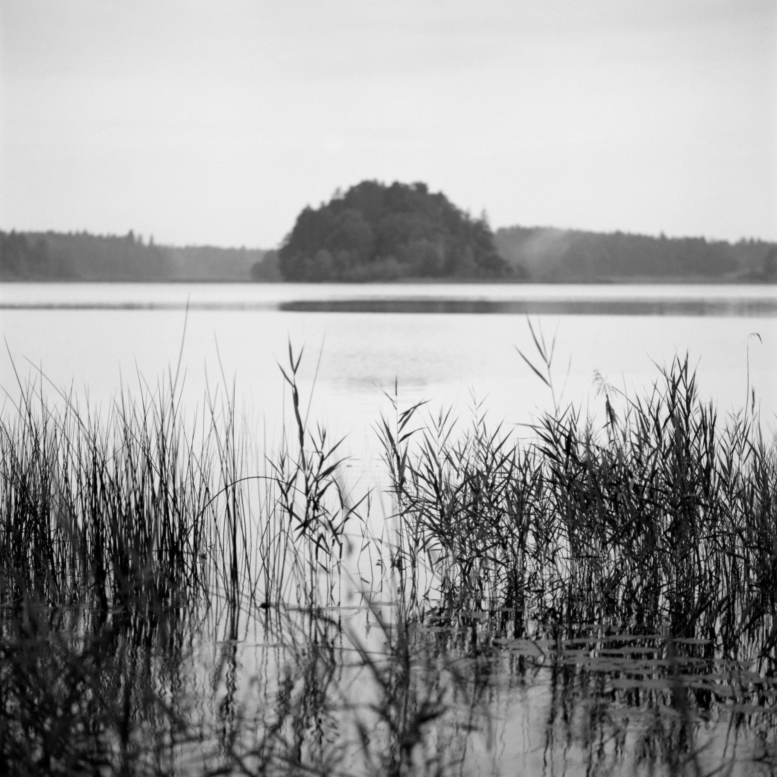 B38-08.jpg