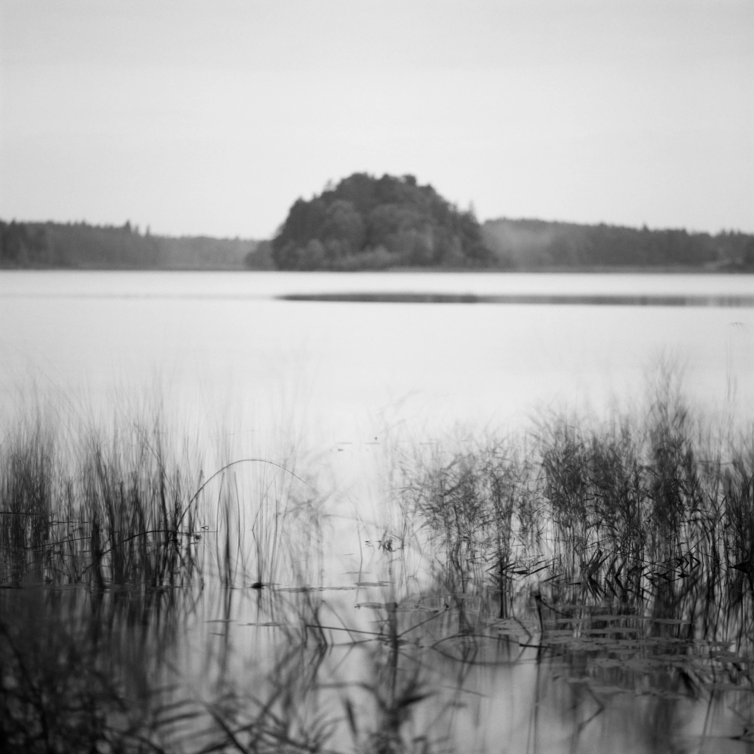 B38-10.jpg