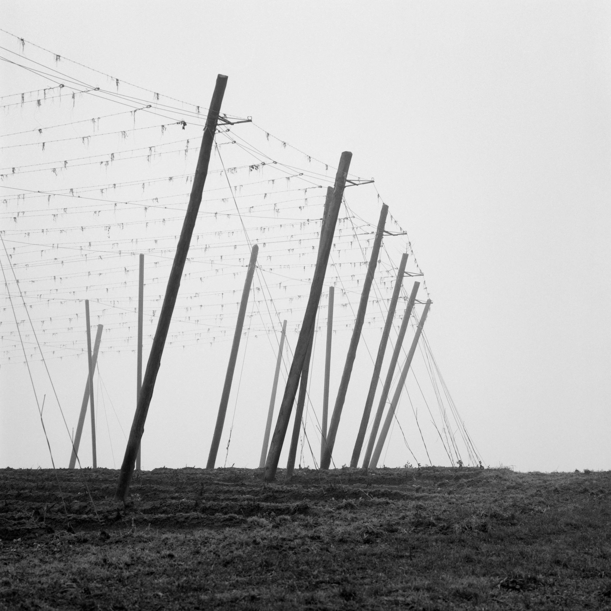 B041-05 Hallertau.jpg