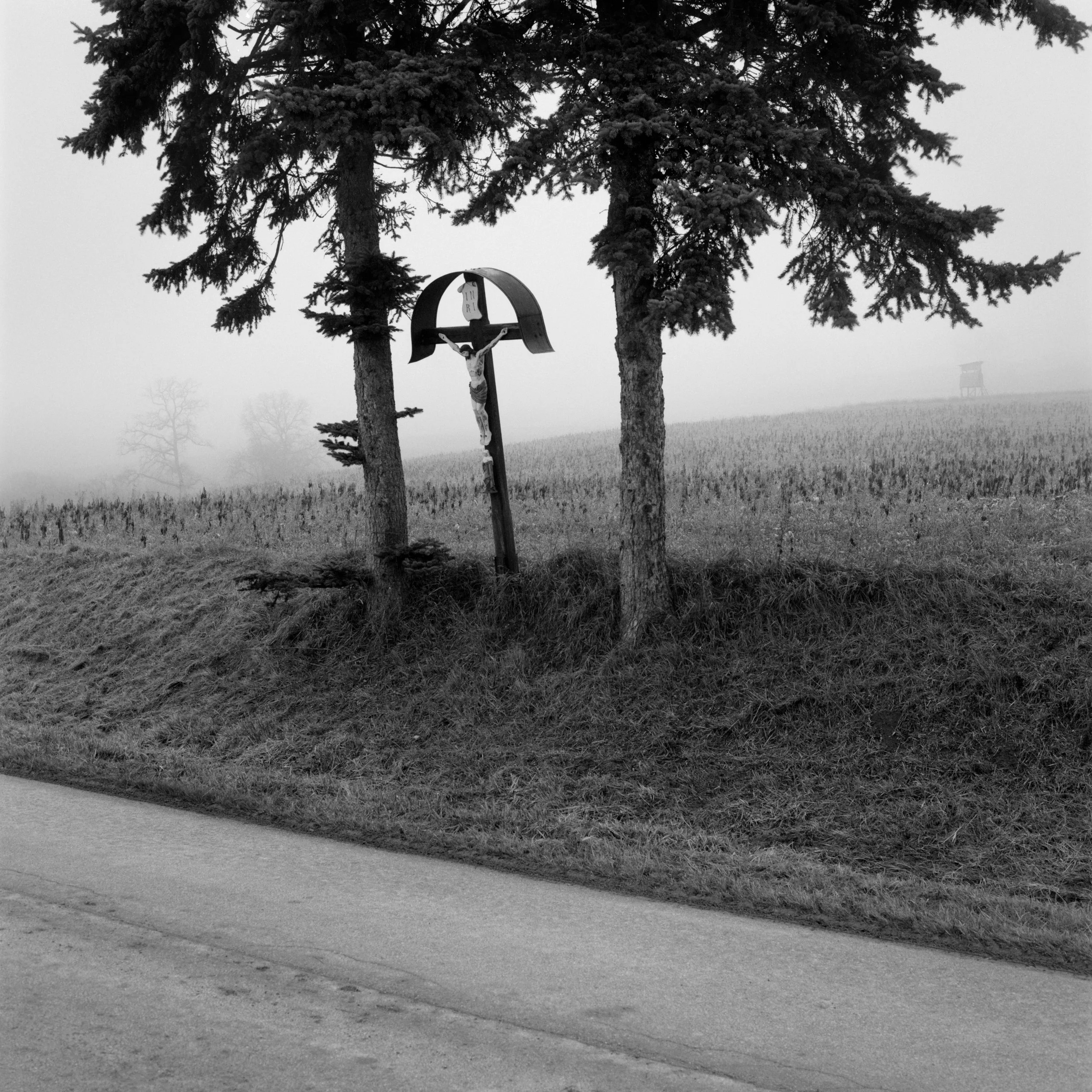 B46-02 Hallertau.jpg