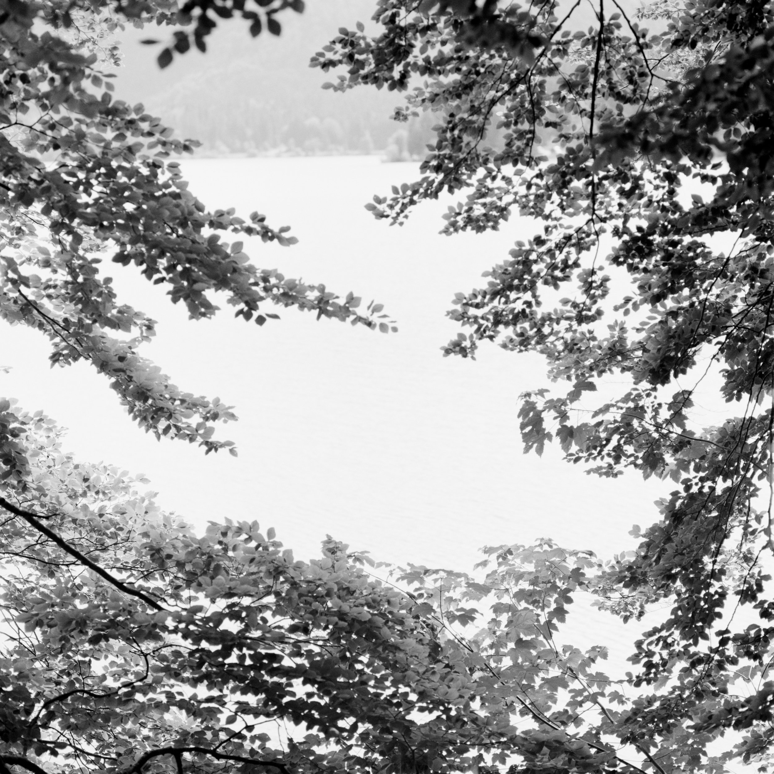 Buchen am See #1.jpg