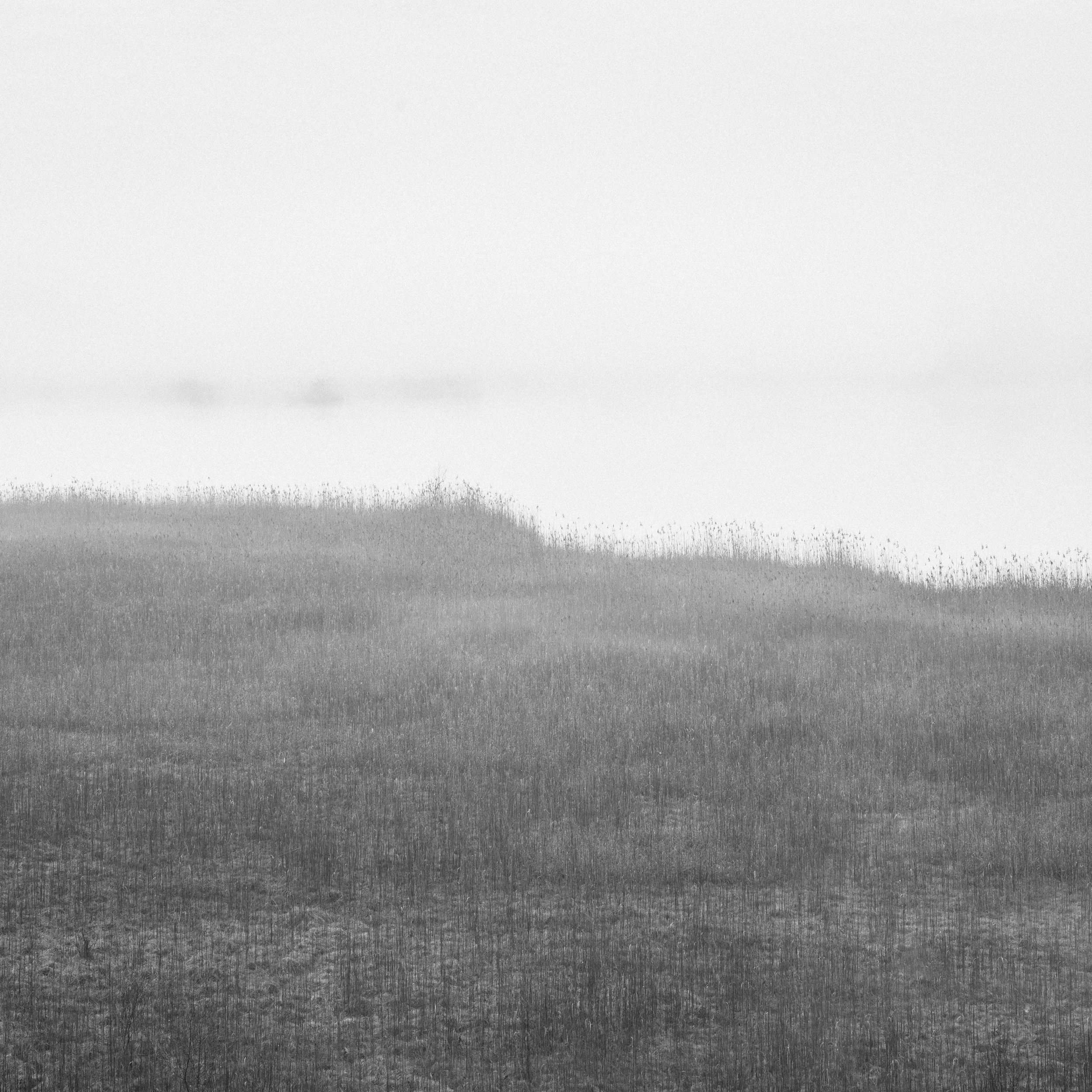 Gartensee Studie 2.jpg