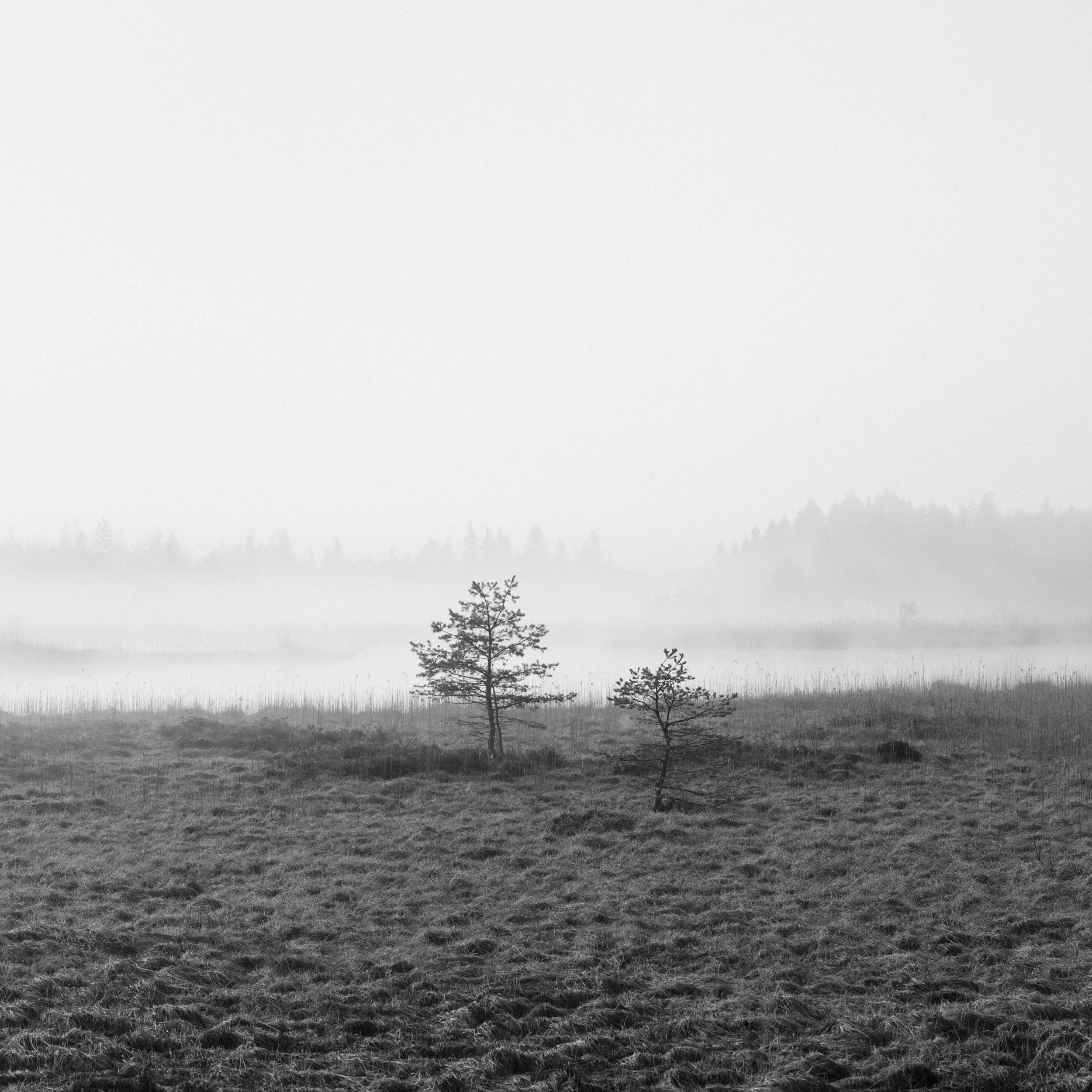 Lustsee Studie 1.jpg
