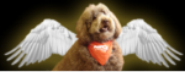 WatsonWings.png