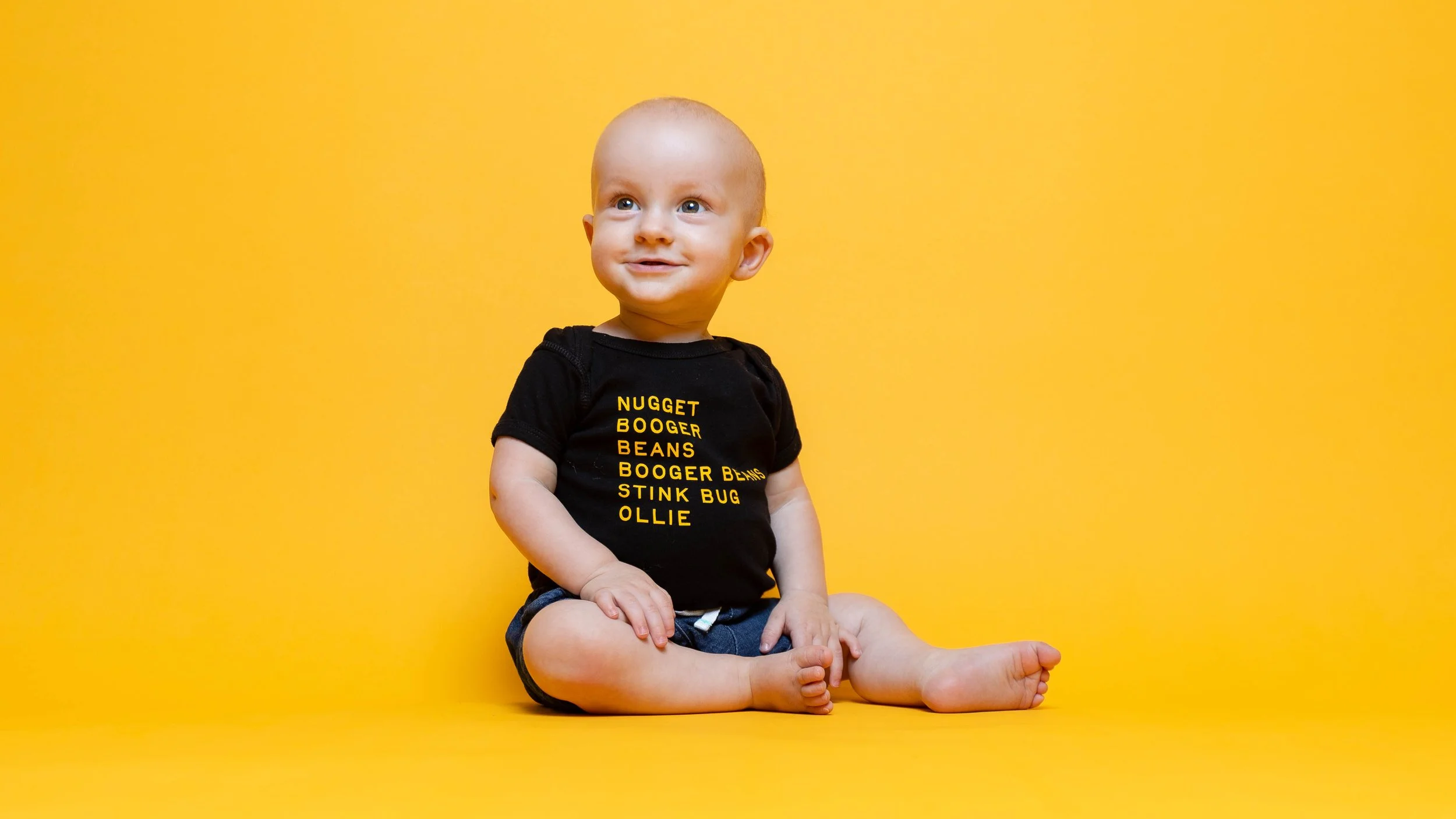 Ollie on Yellow-2949.jpg