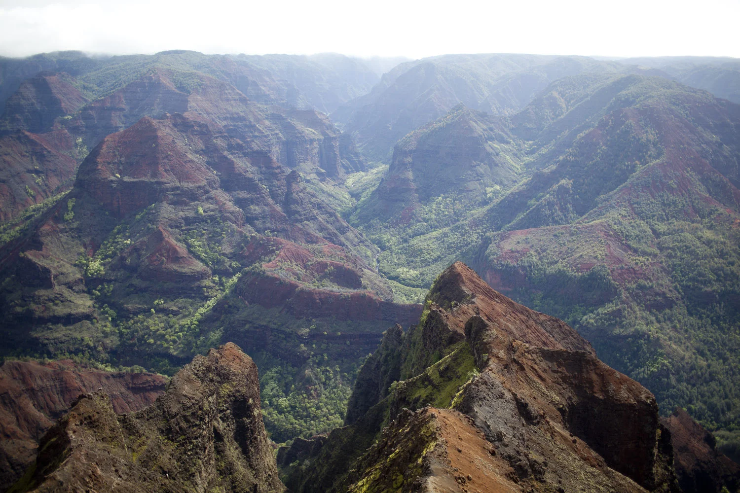 130323_jms_hawaii_0011.jpg