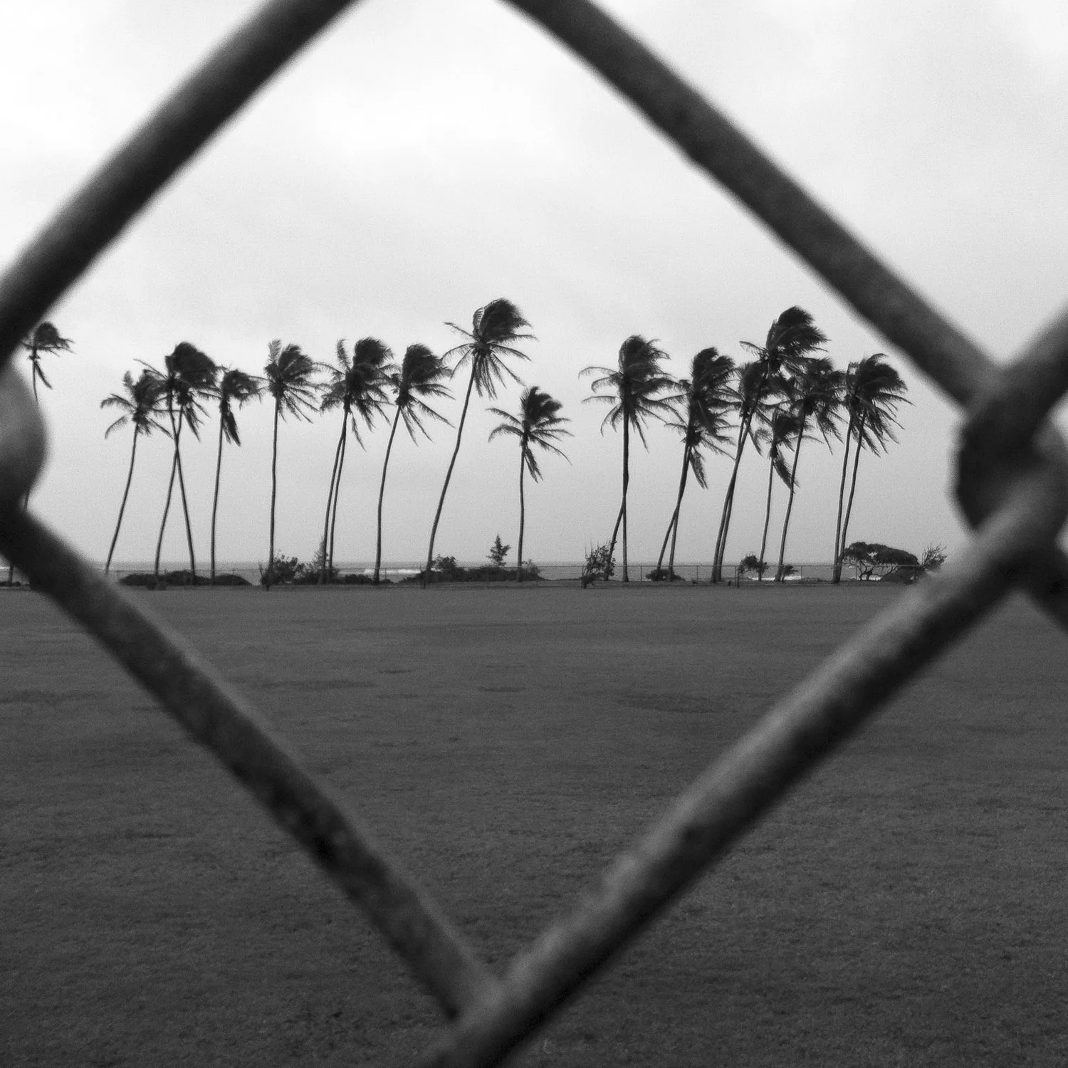 130326_jms_hawaii_0003.jpg