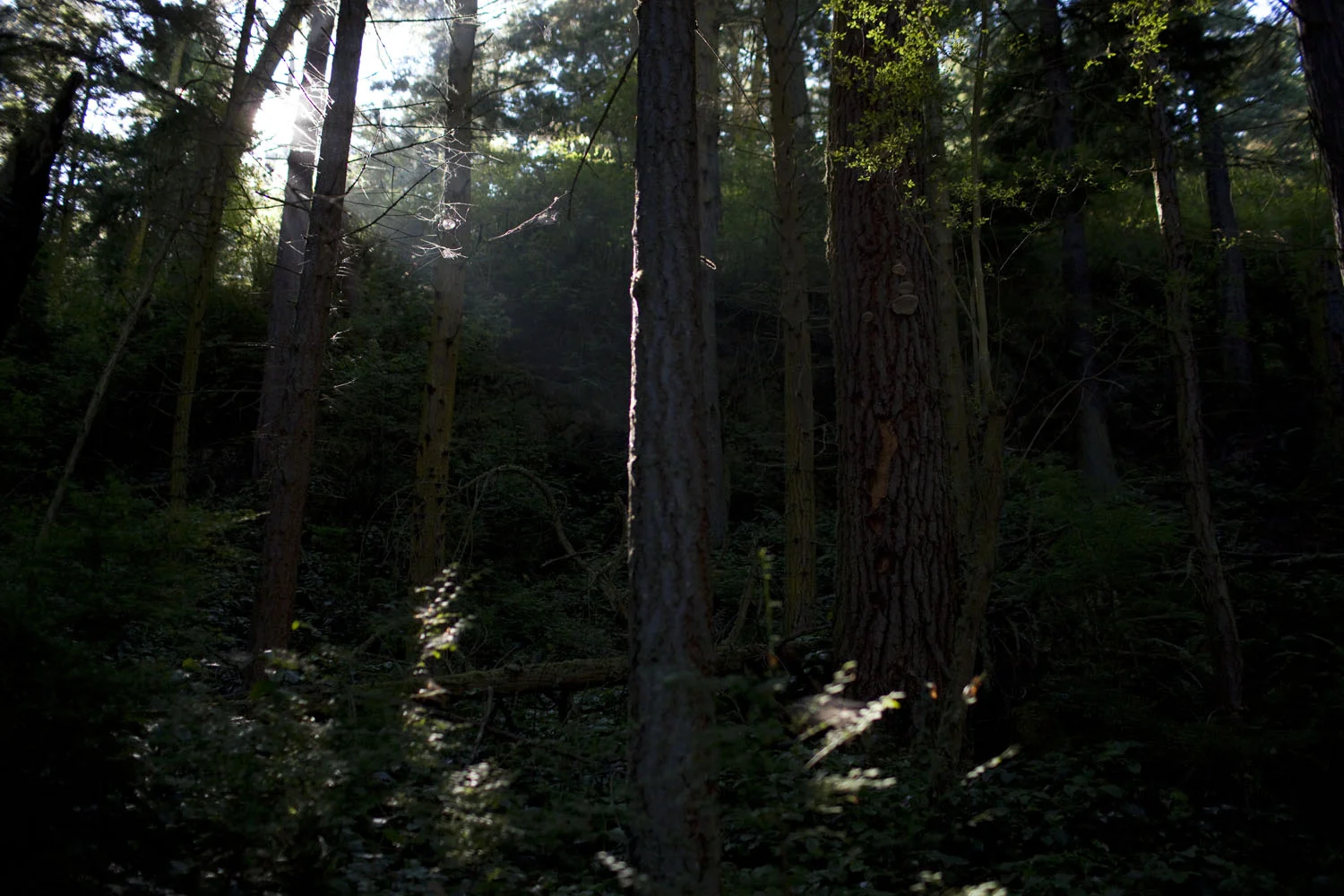 130720_jms_0010.jpg