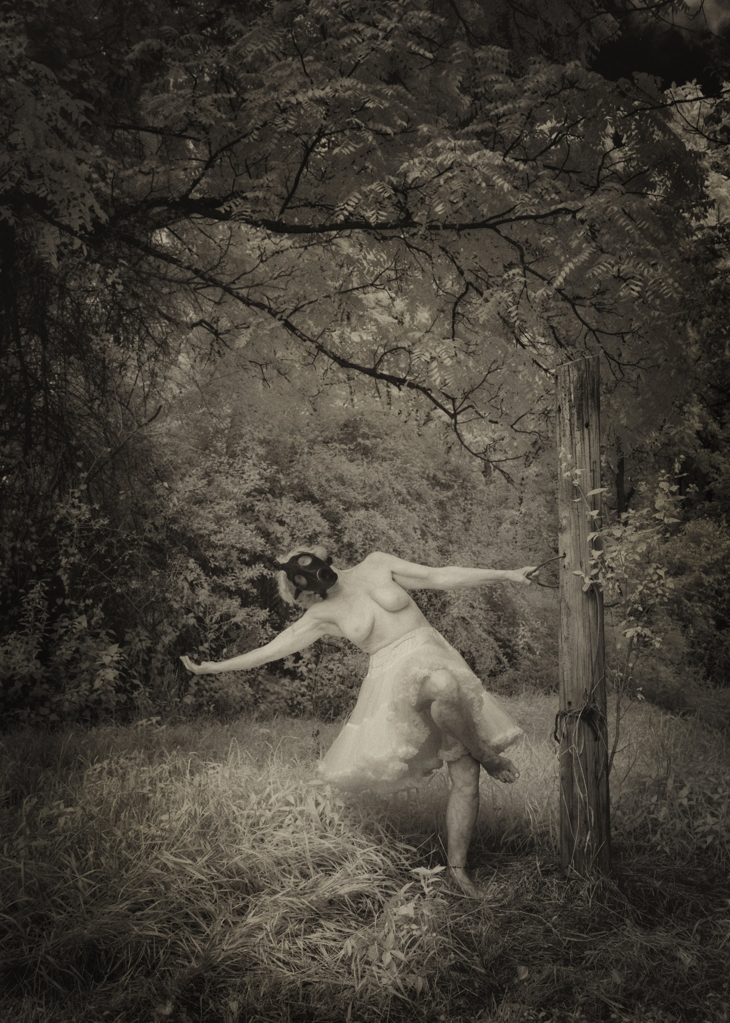 Faerie