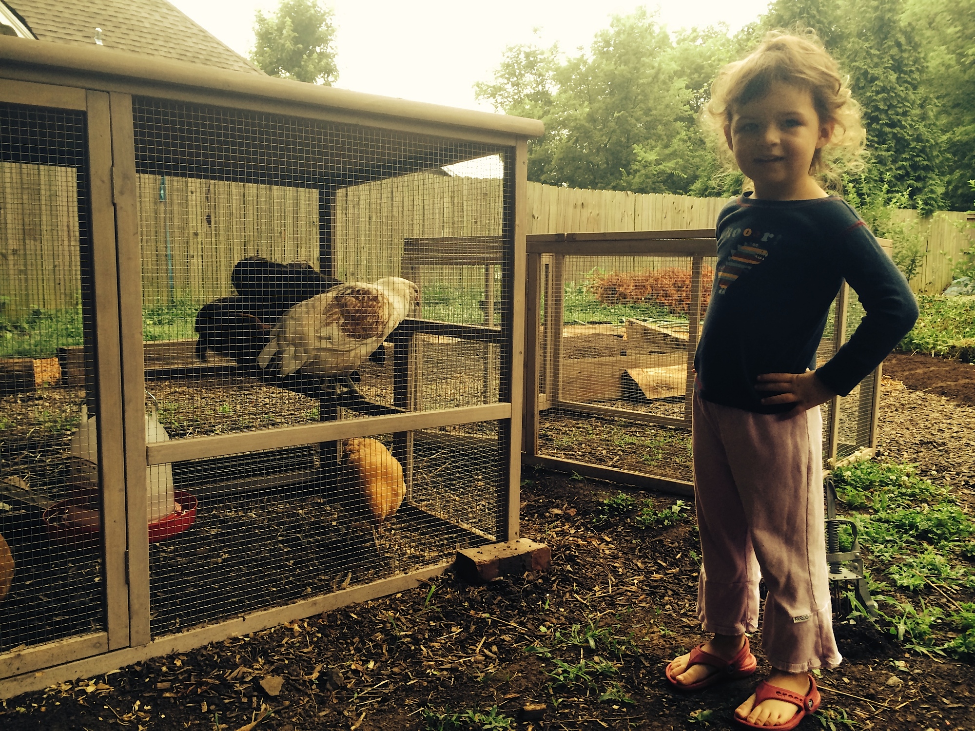 Starting early, Susannah's daughter poses with the chickens.