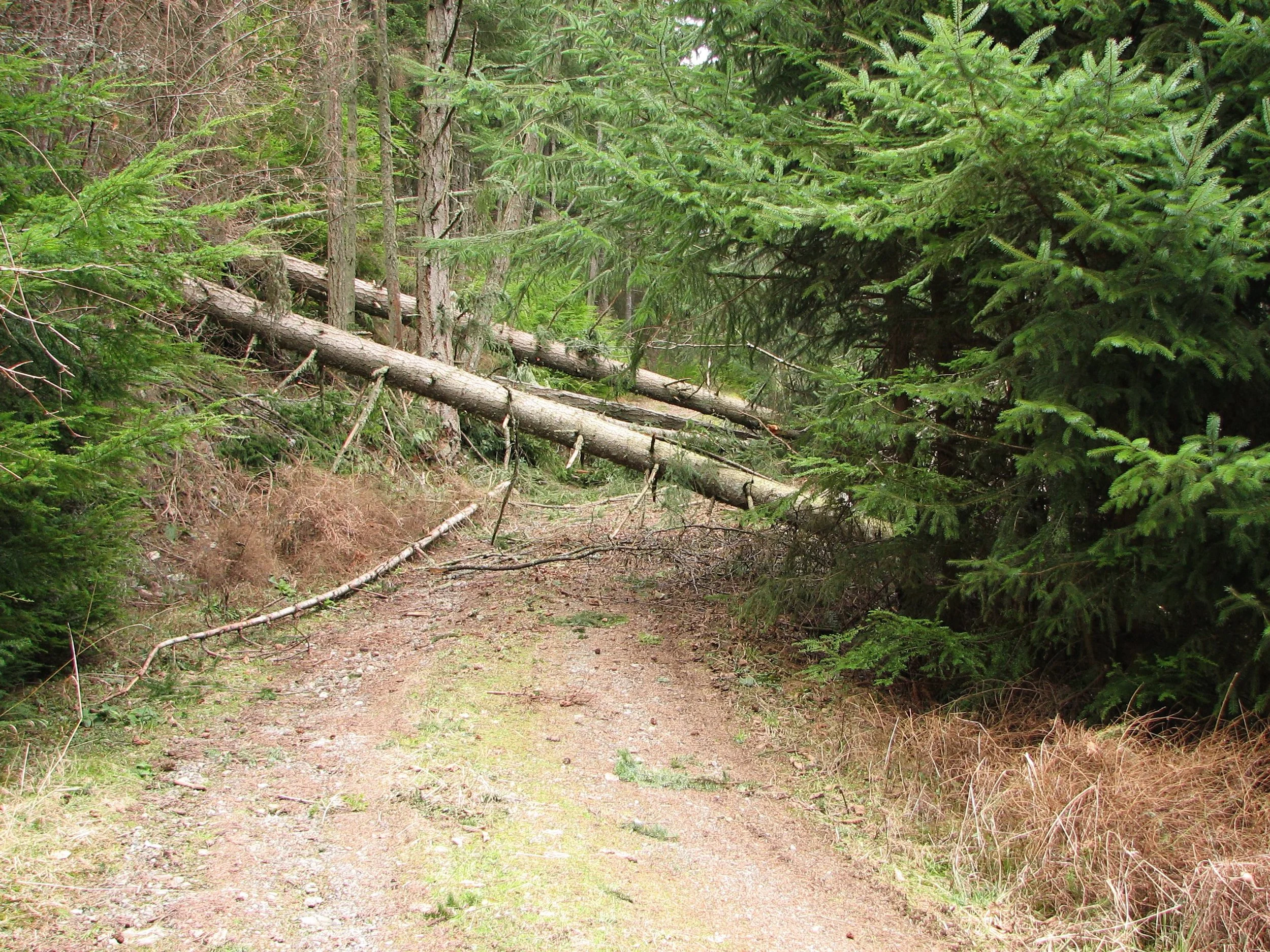 Obstacles On The Path