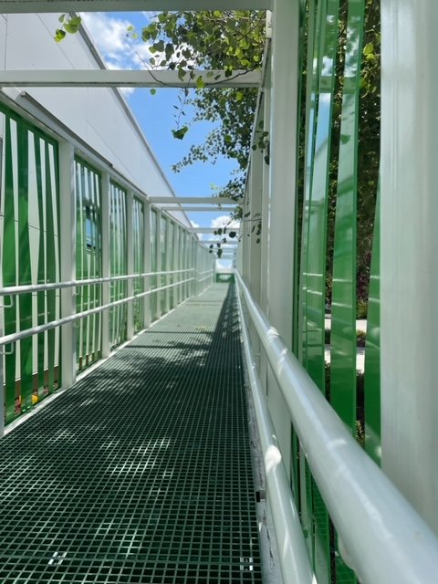 image8.jpeg