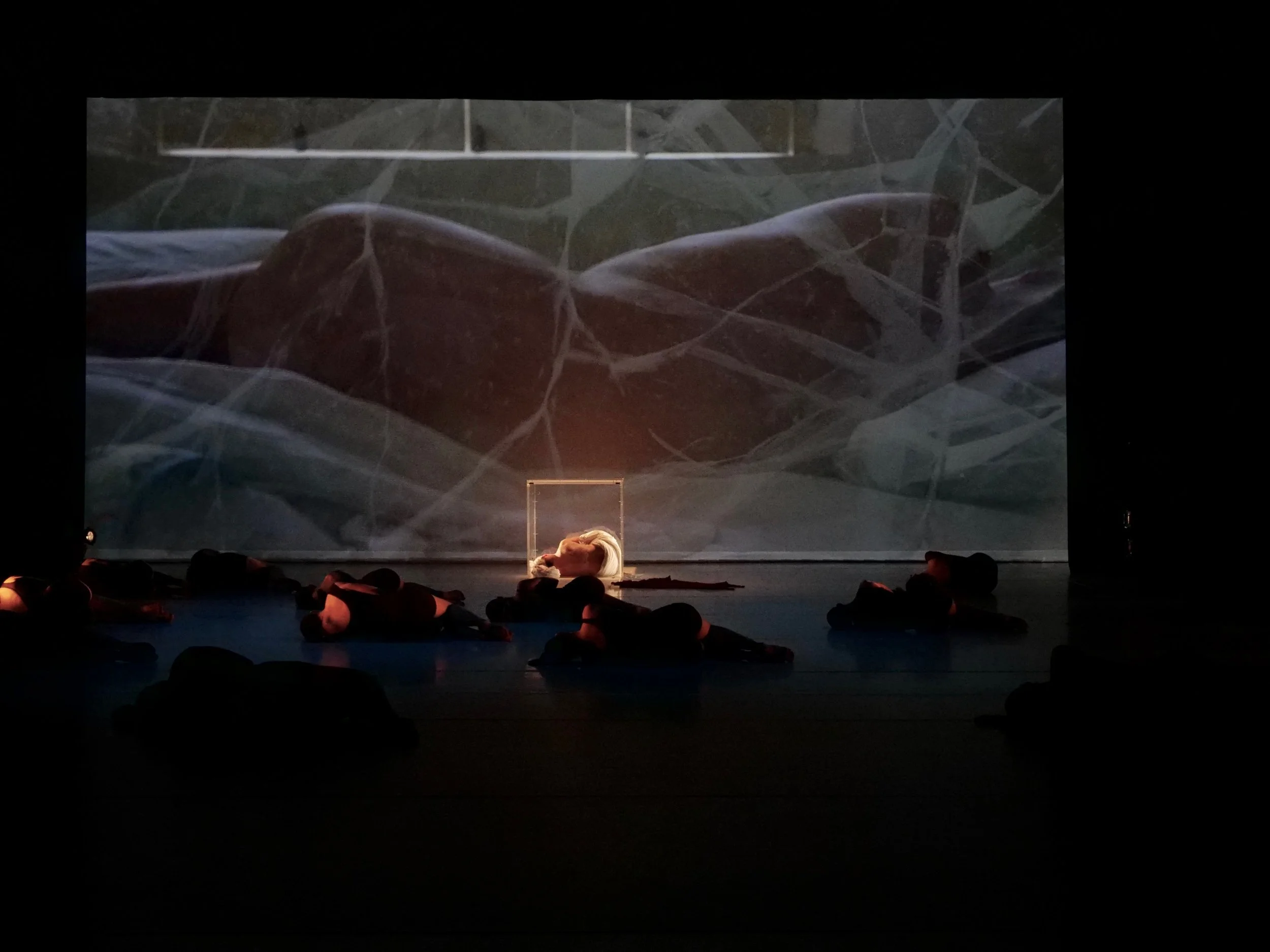 PPE Waves_A New Normal (2021)