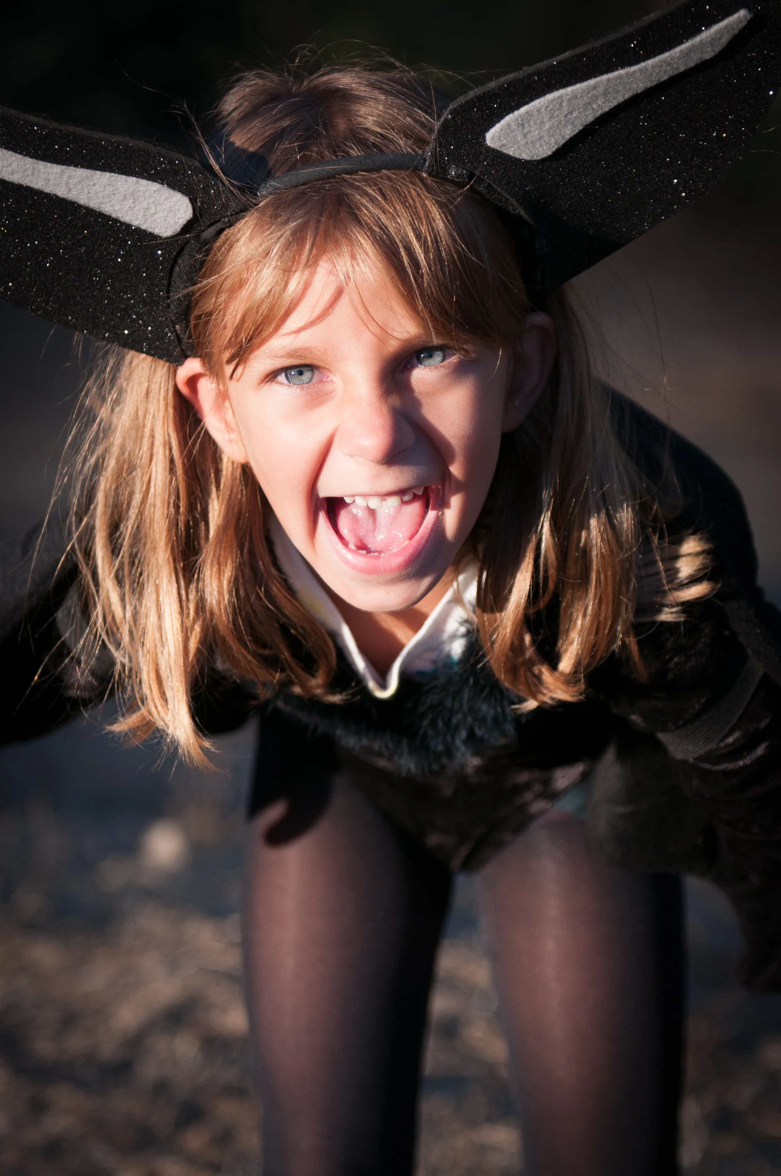 Cowlin-October 19, 2012-DSC_8836.jpg