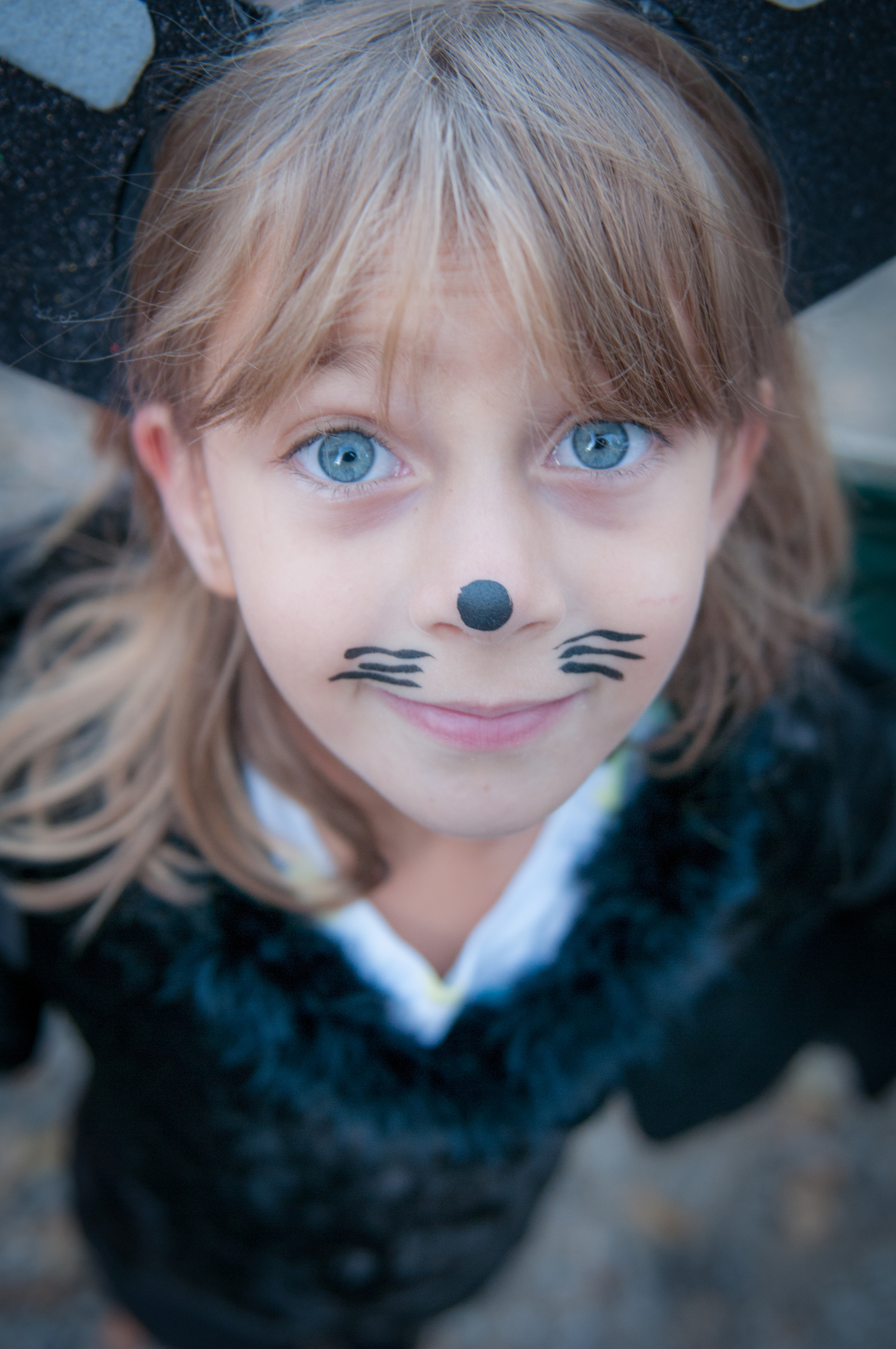 Cowlin-October 19, 2012-DSC_8863.jpg