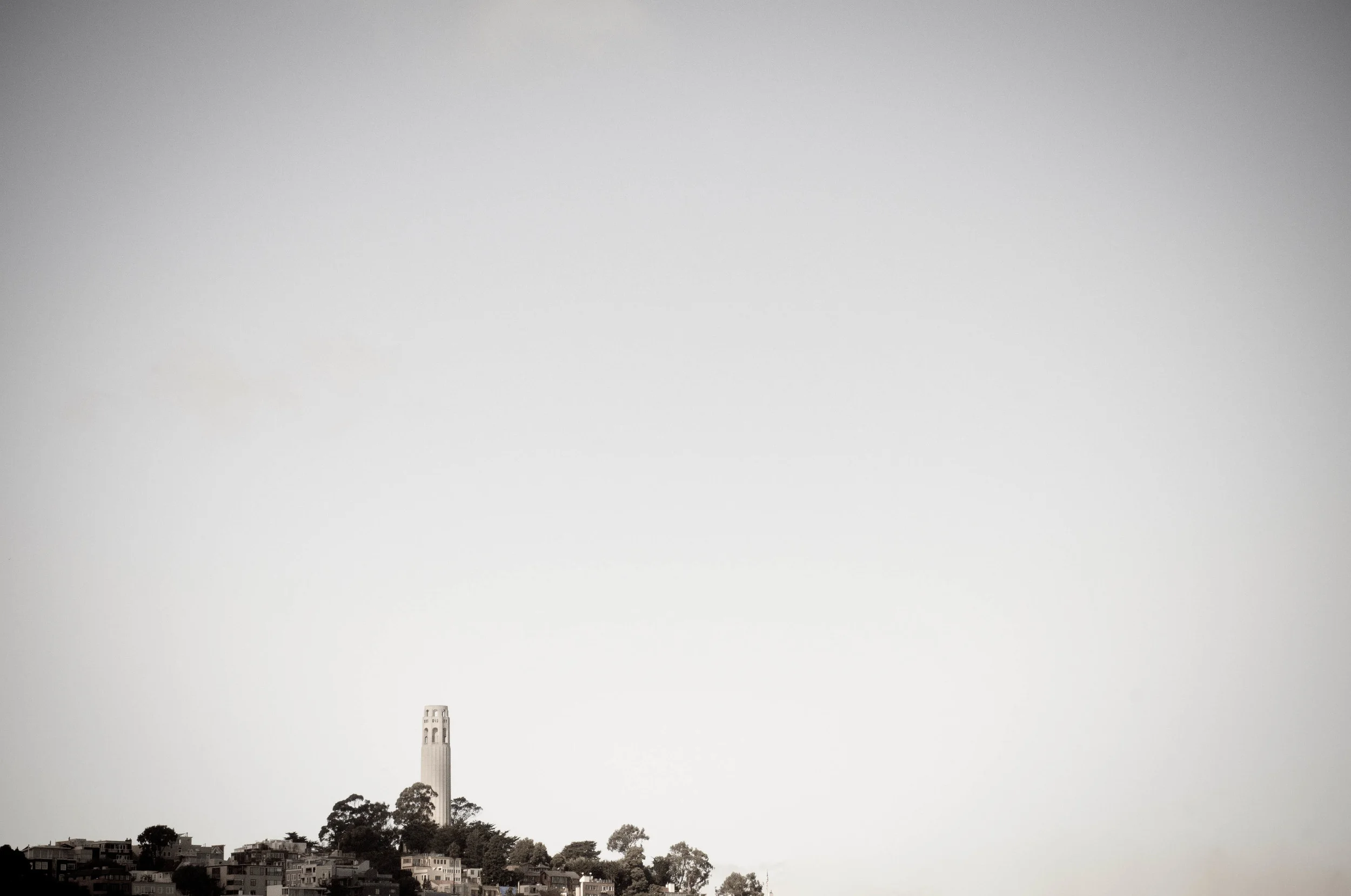 Coit Landscape B&W.jpg