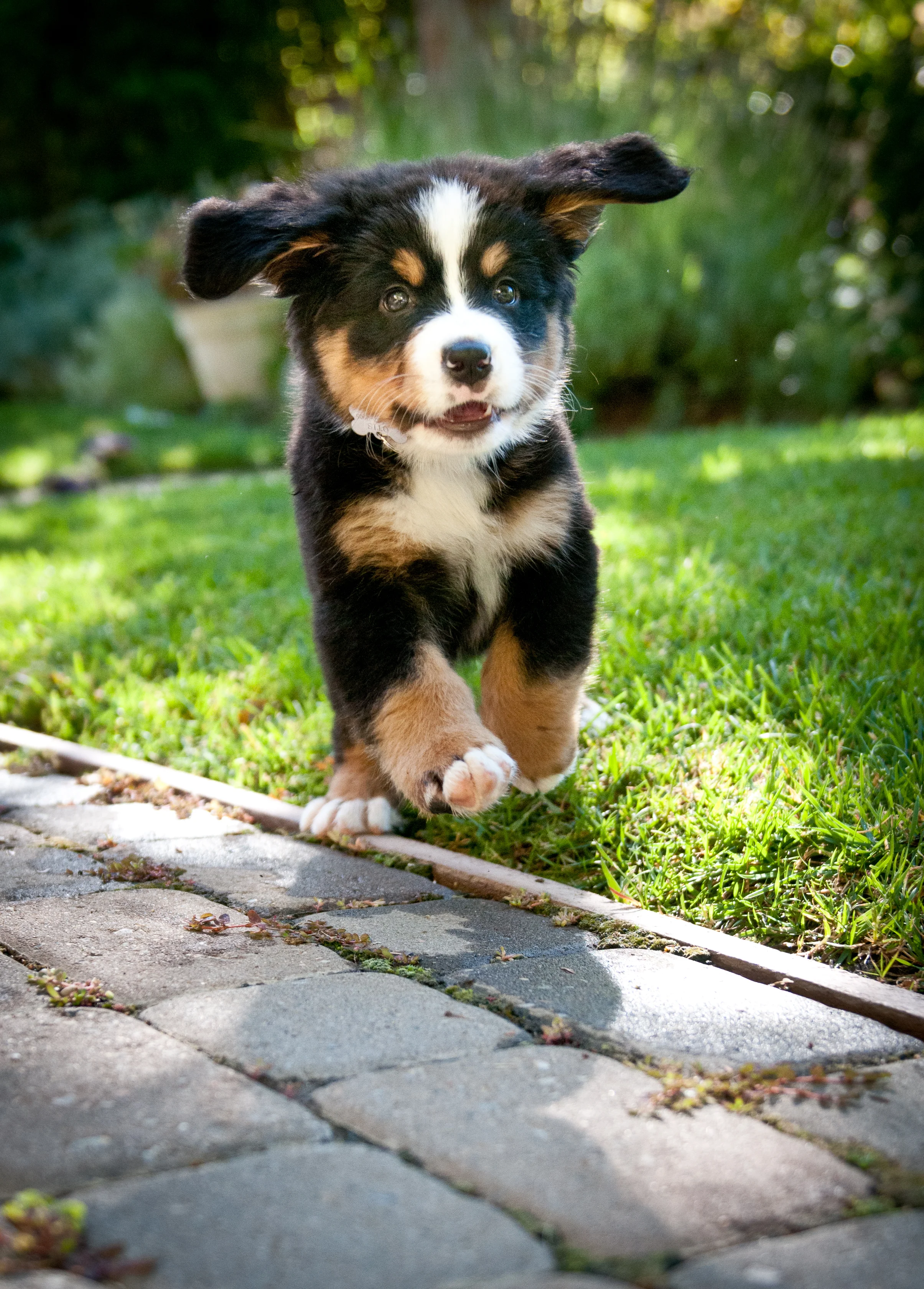 20100905-DSC_5983.jpg